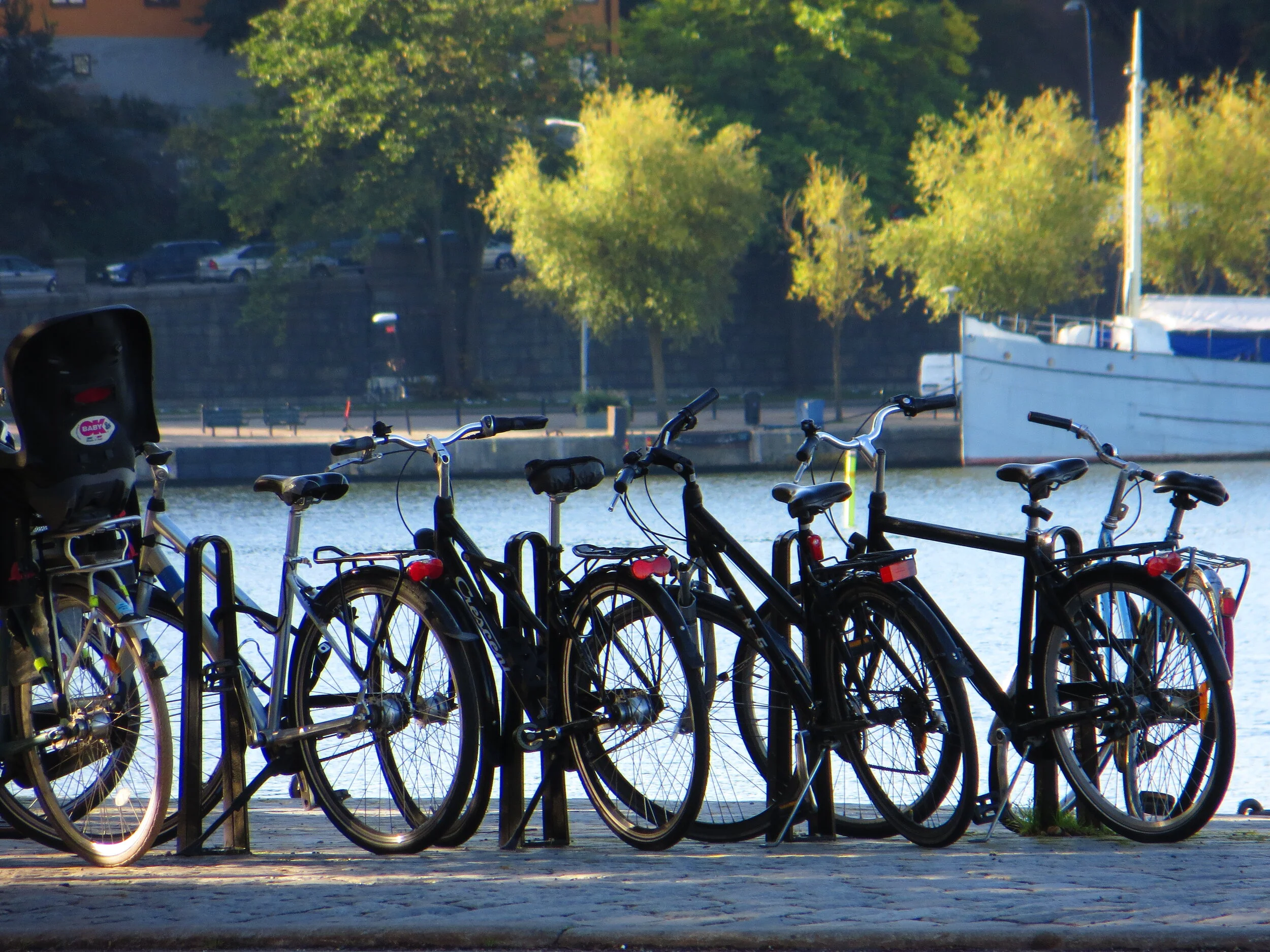 Your Purpose 4—Put Your Faith into Action