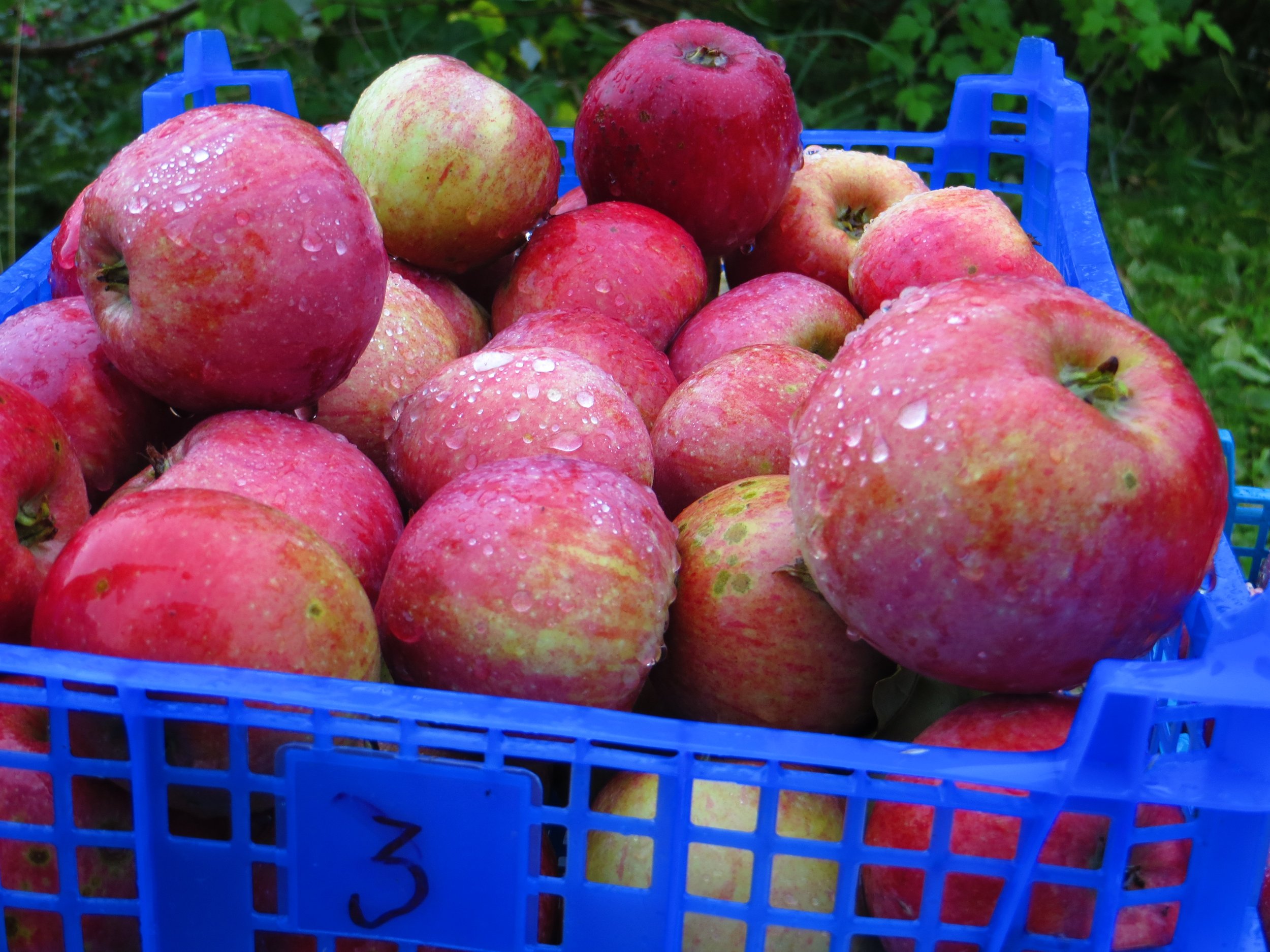 Our Ability to Live Our Purpose is Fueled by Encouragement—from the Father and from Others