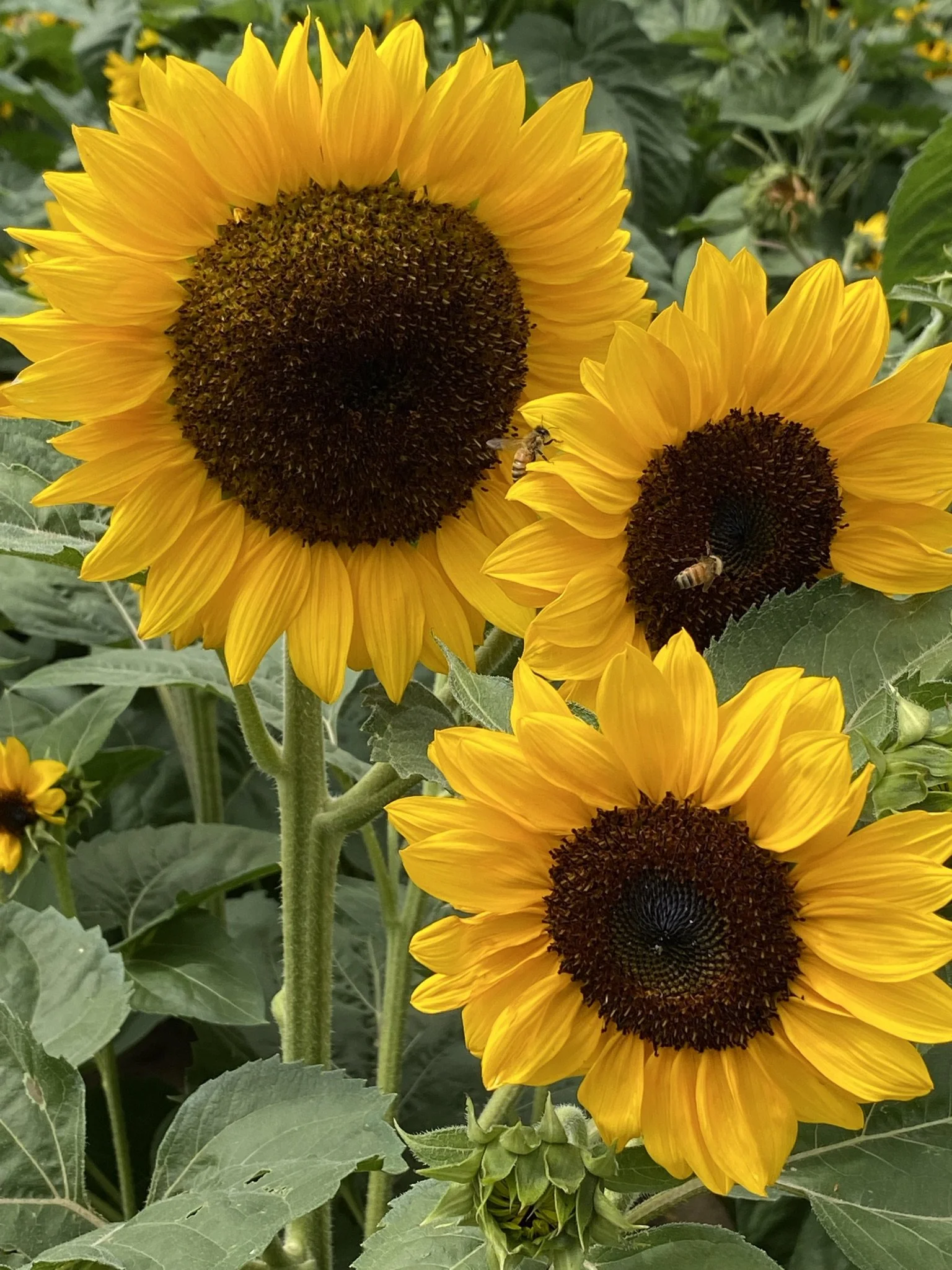 Encouragement for the Journey