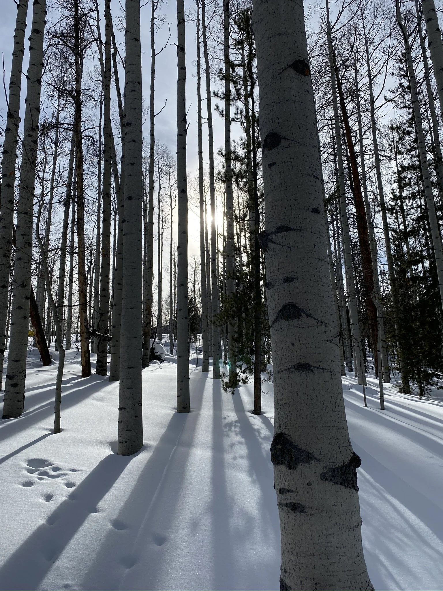 Are You Weary? Part II