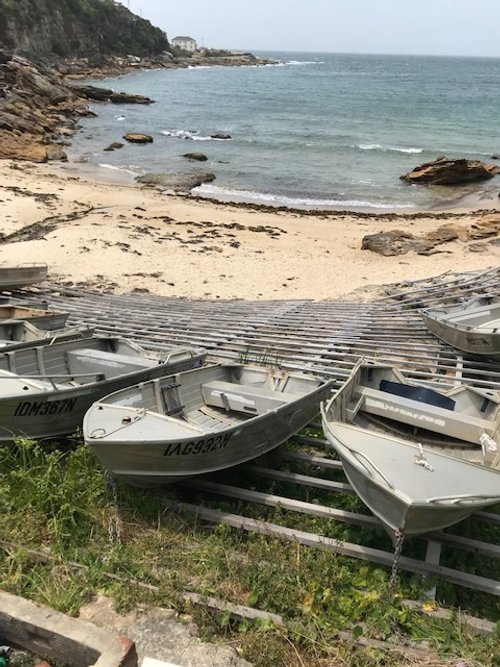 Download a FREE PDF of Right Use of Power in the Church