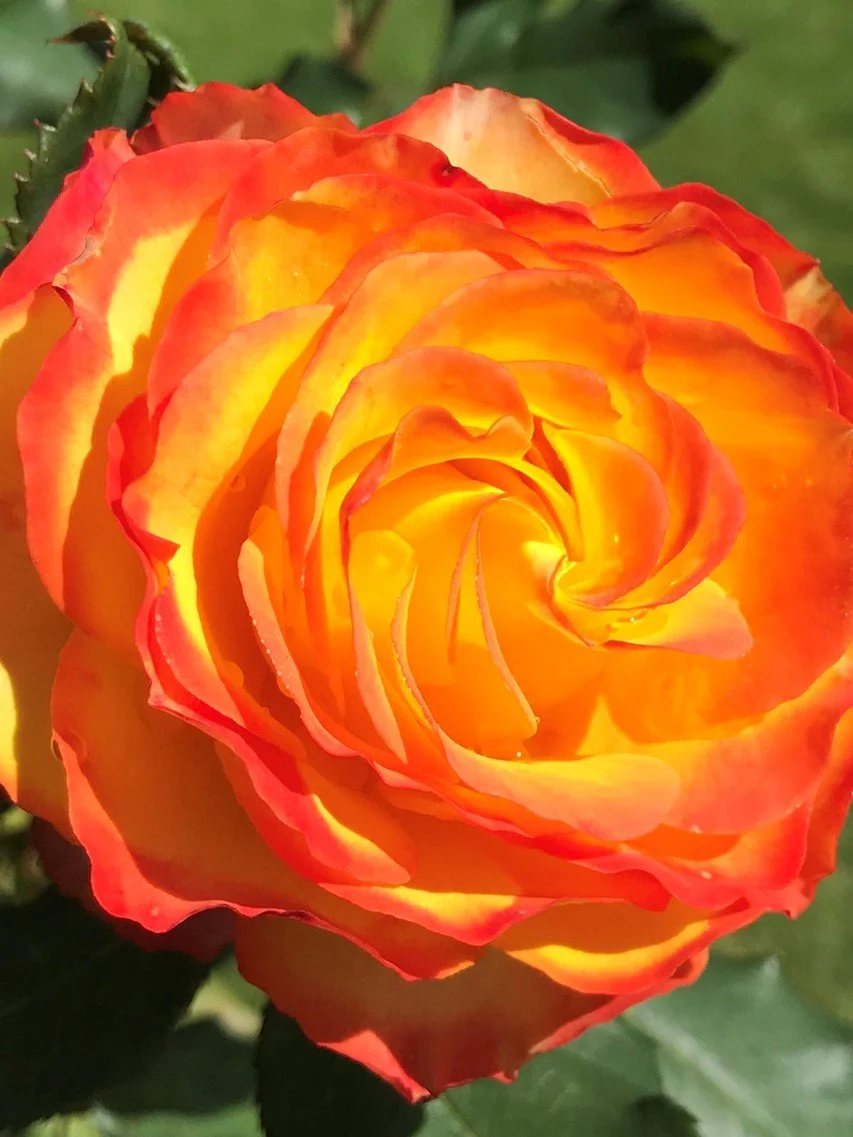 Healing: Spiritual Gifts Definitions, Scriptures, and Ways to Serve