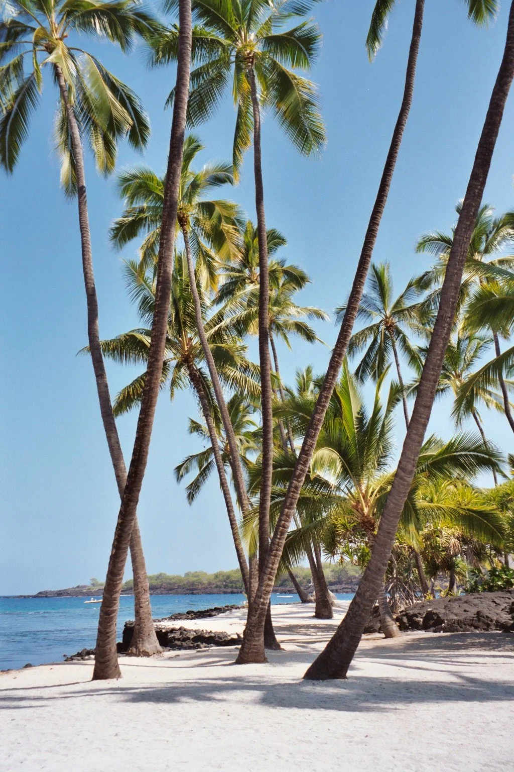 Spiritual Gifts Prayers, Part II