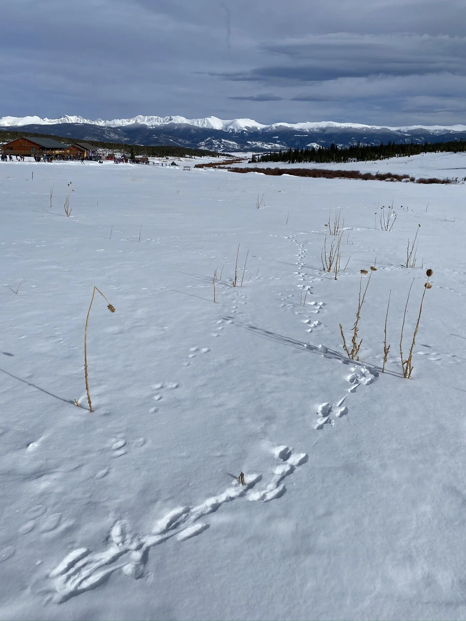 Some gifts seem to have overlap: Shepherding vs. exhortation, Teaching vs. knowledge?--Spiritual Gifts FAQ