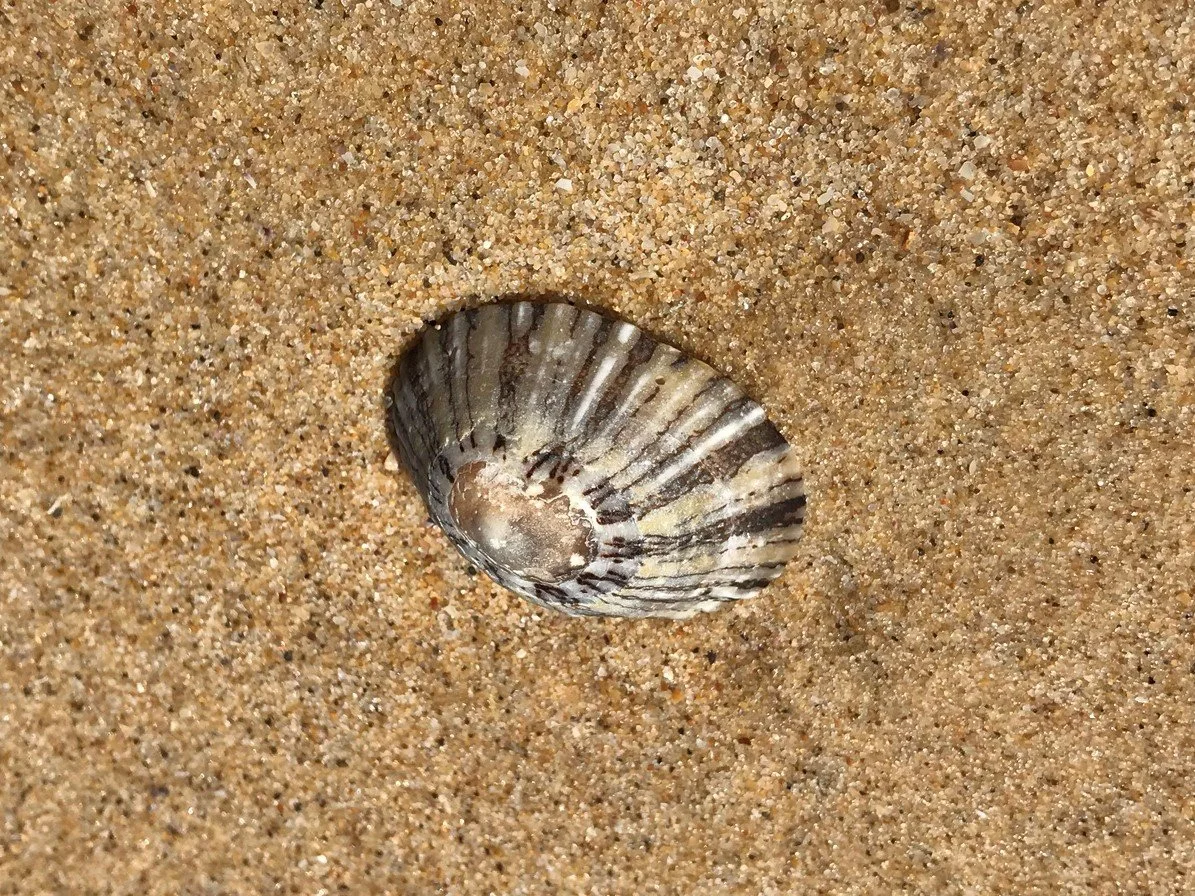 Can a gift be used incorrectly? How would we know?--Spiritual Gifts FAQs