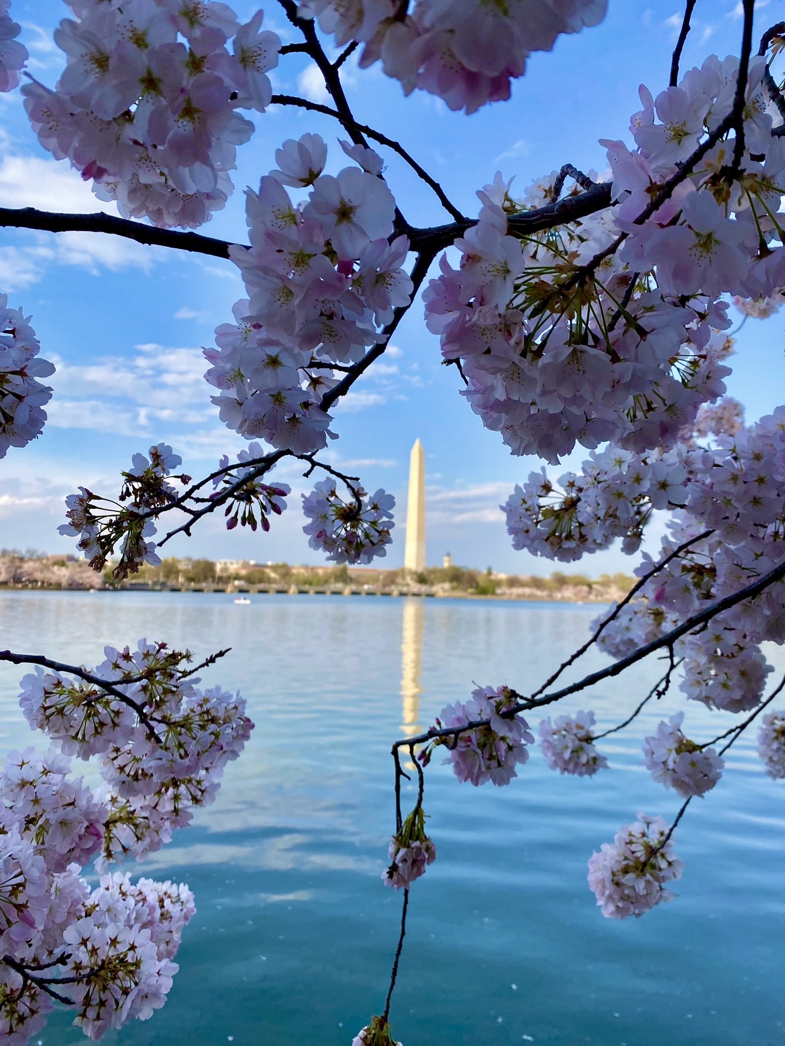 Prayer to the Lord Who Chooses Us