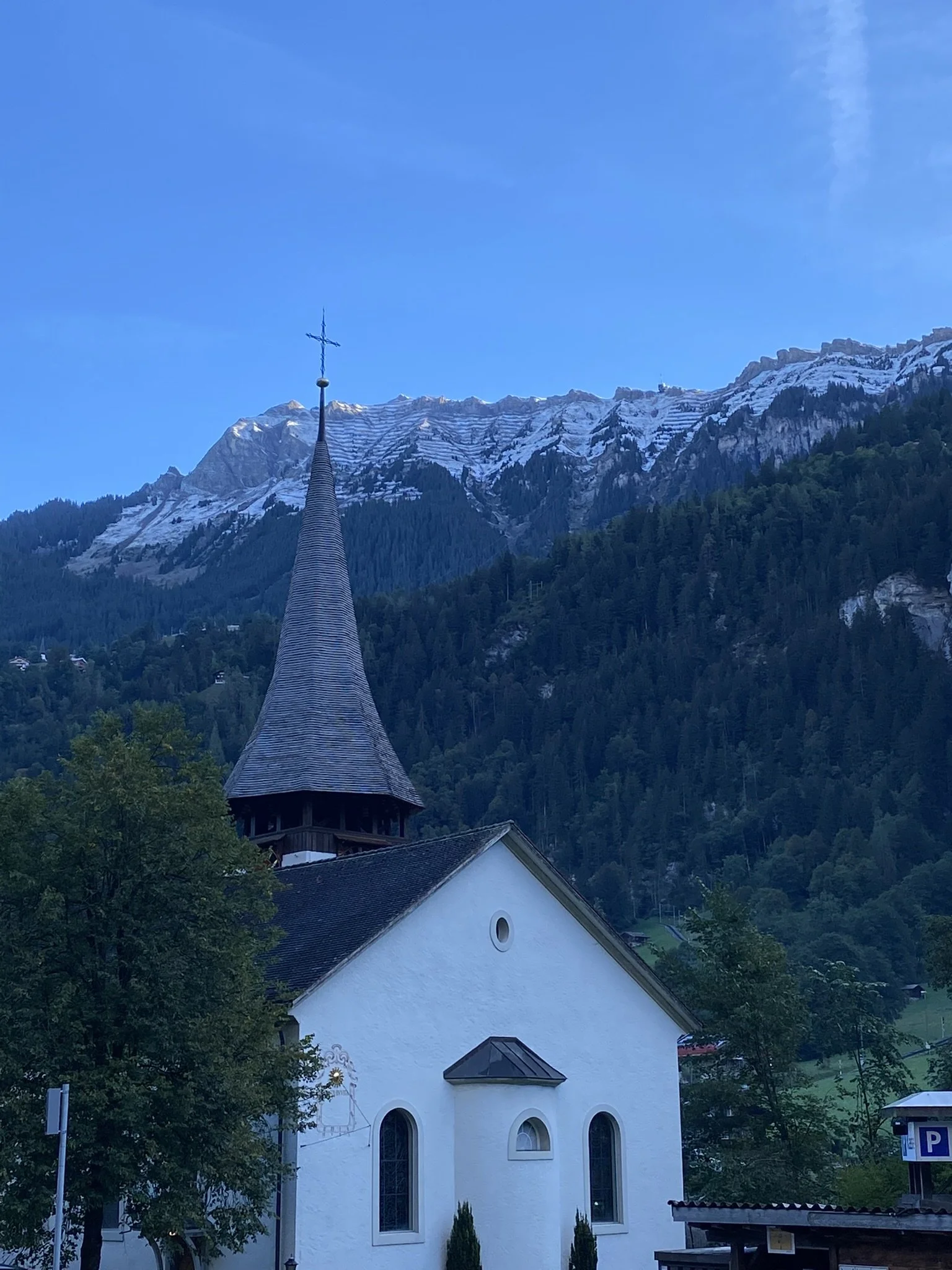 Calling and Purpose: Being People of Lament and Comfort in the Face of Crisis and Loss