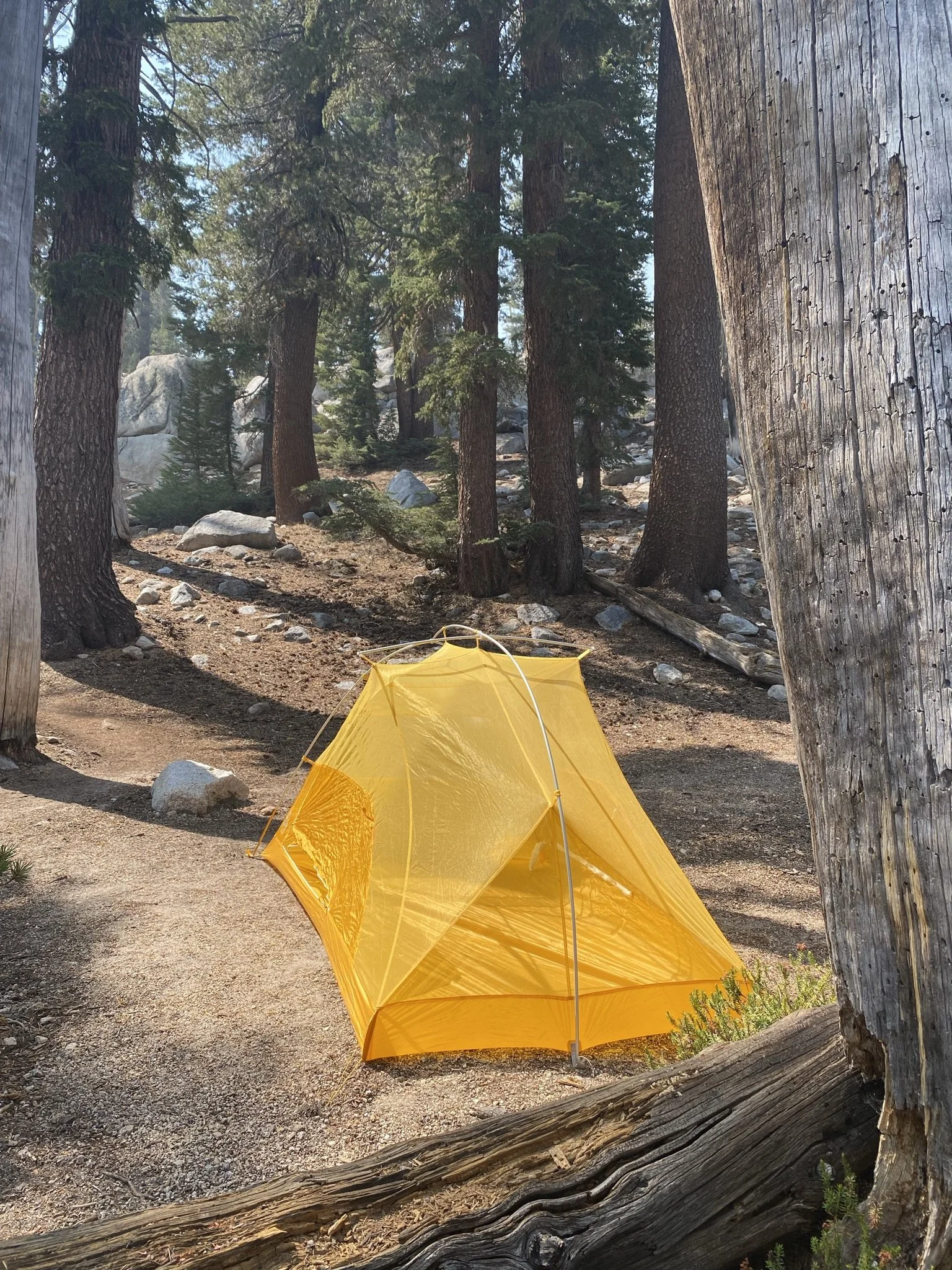 Calling and Purpose—Selected Examples from Scripture and Life—Part Two, New Testament