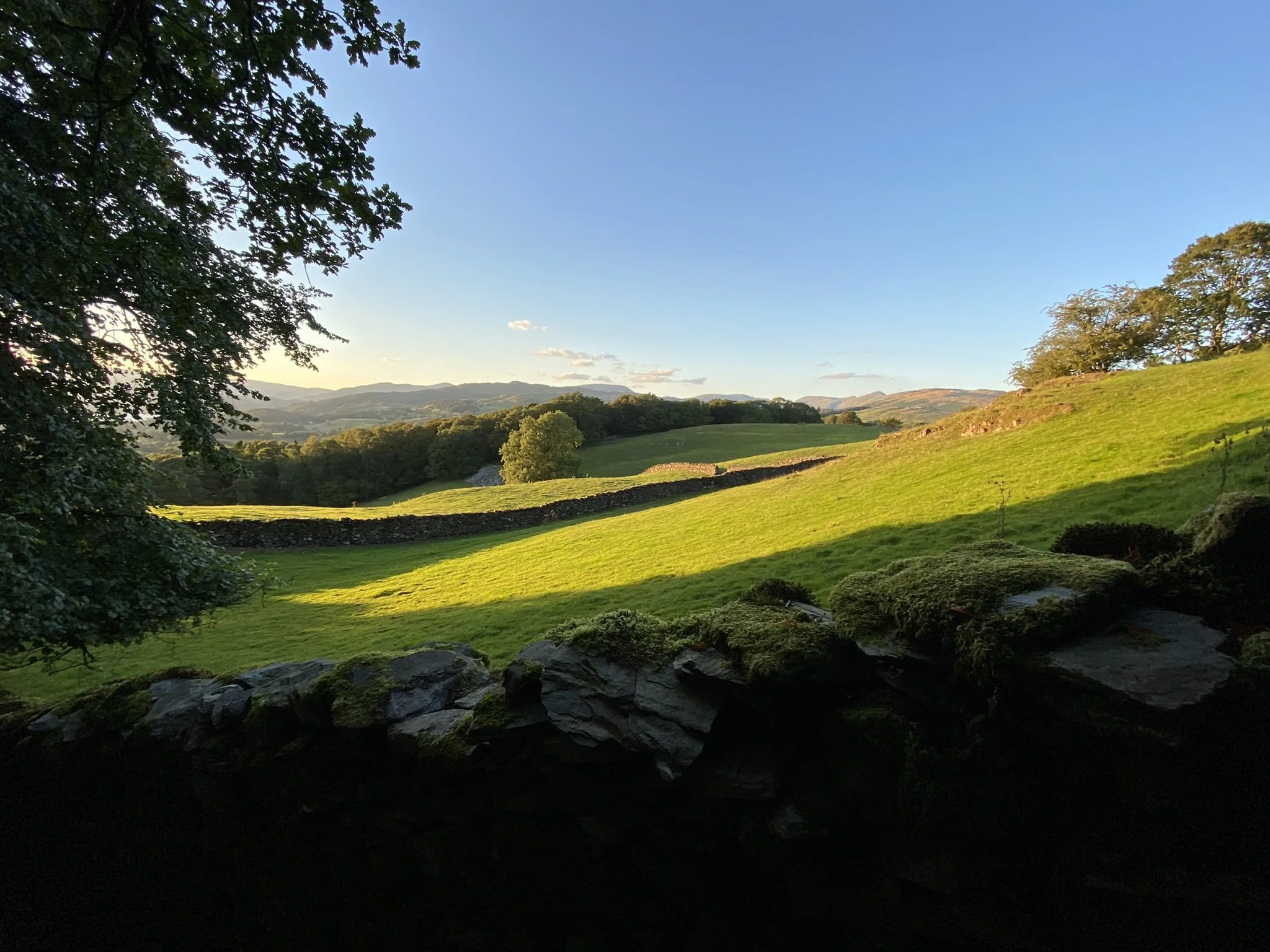 Calling and Purpose—Selected Examples from Scripture and Life—Part Three, Contemporary Saints A