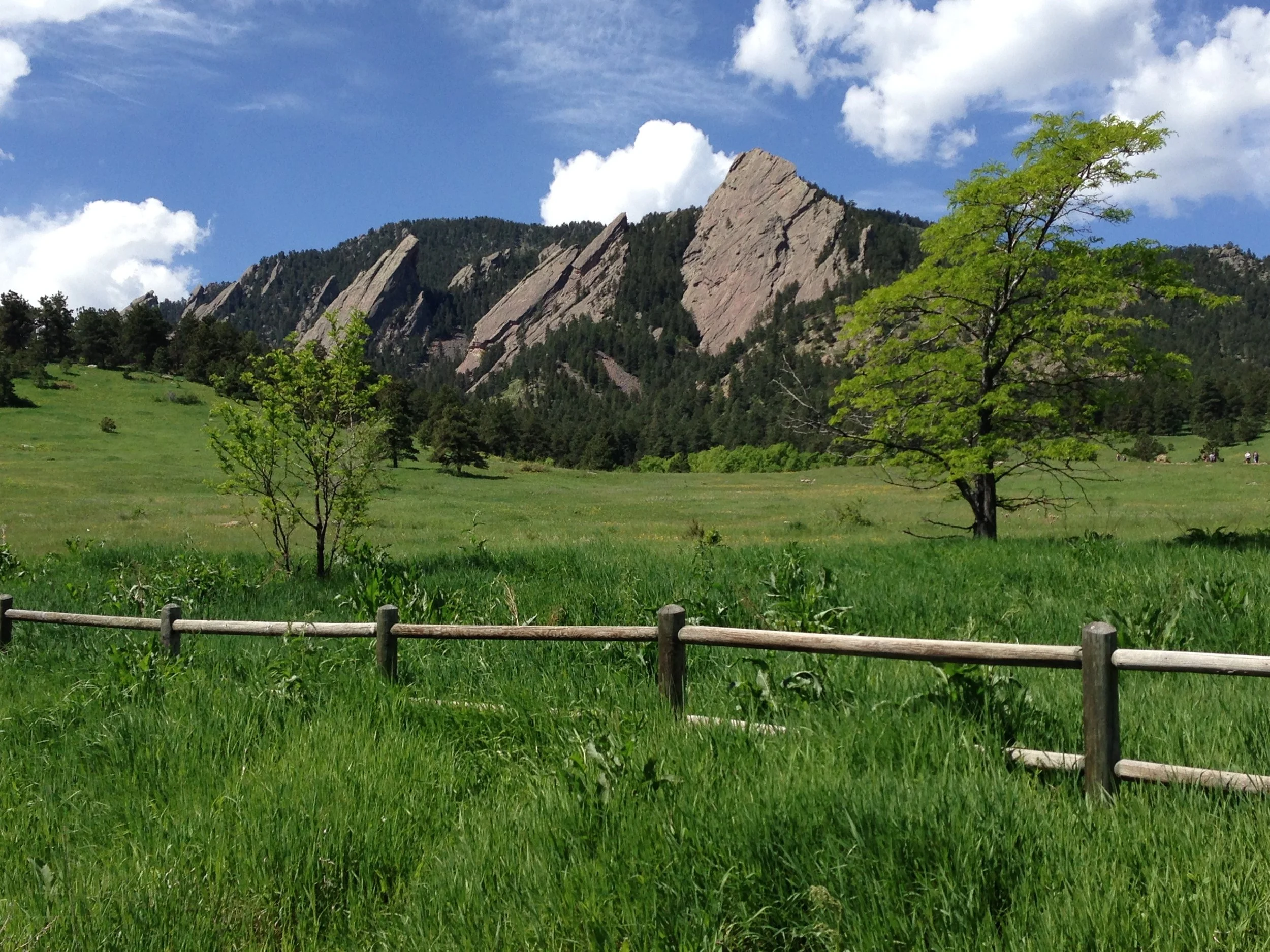 Calling and Purpose—Selected Examples from Scripture and Life—Part Five, Contemporary Saints C