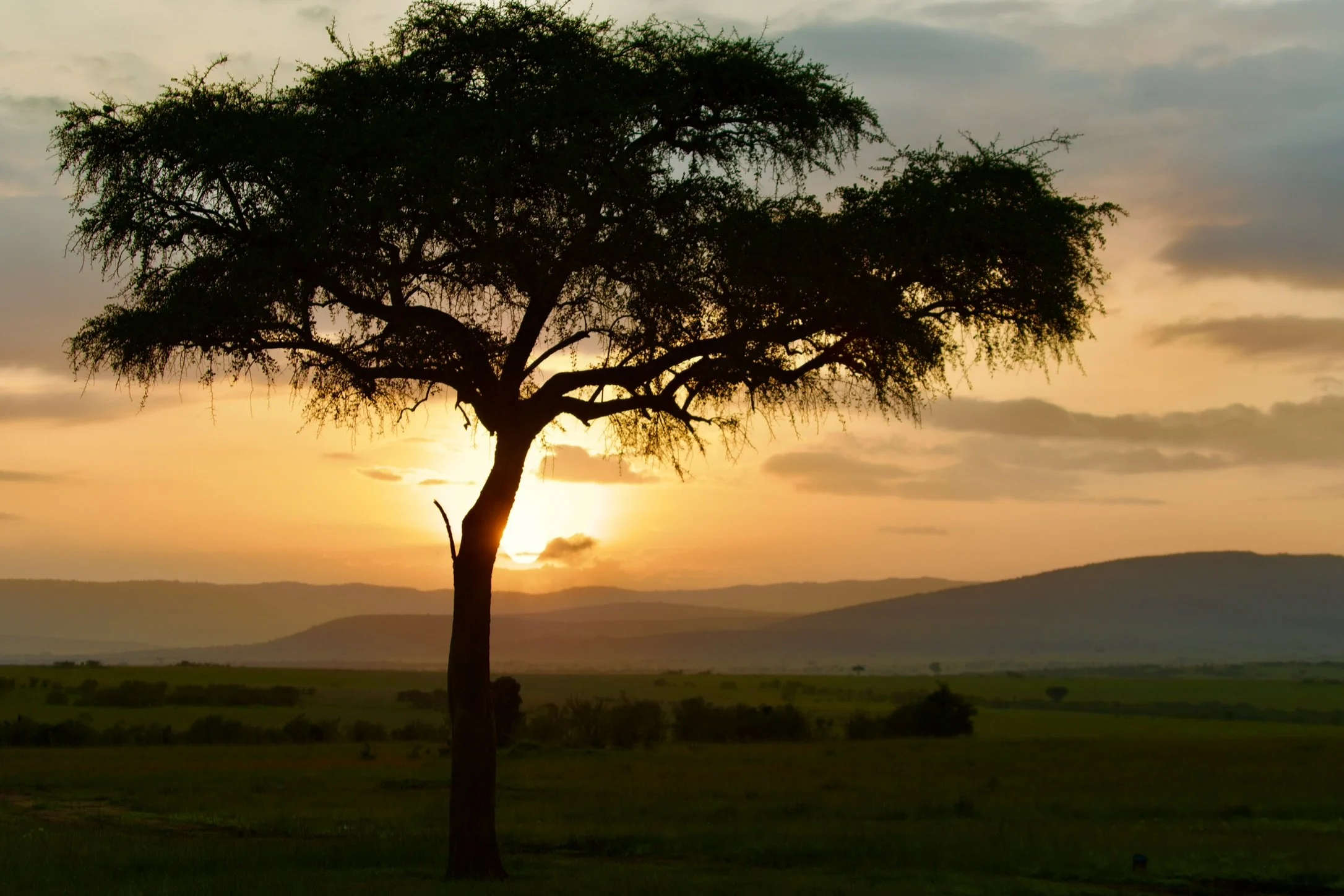 How is the Health of Your Team: Starting Up Without Slowing Down?