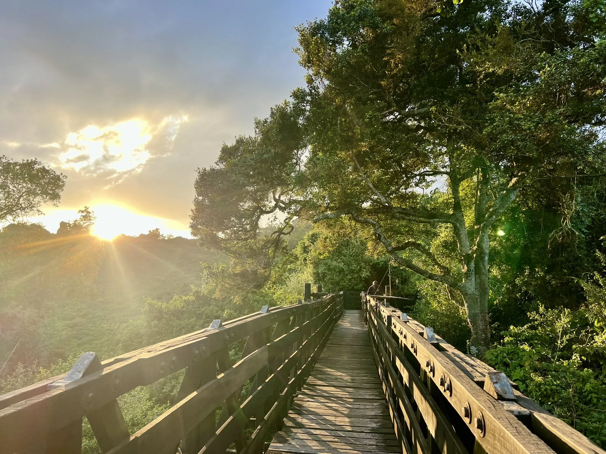 “The Holy Spirit is Not a Tool to Exact or Leverage…”--Spiritual Gifts FAQs