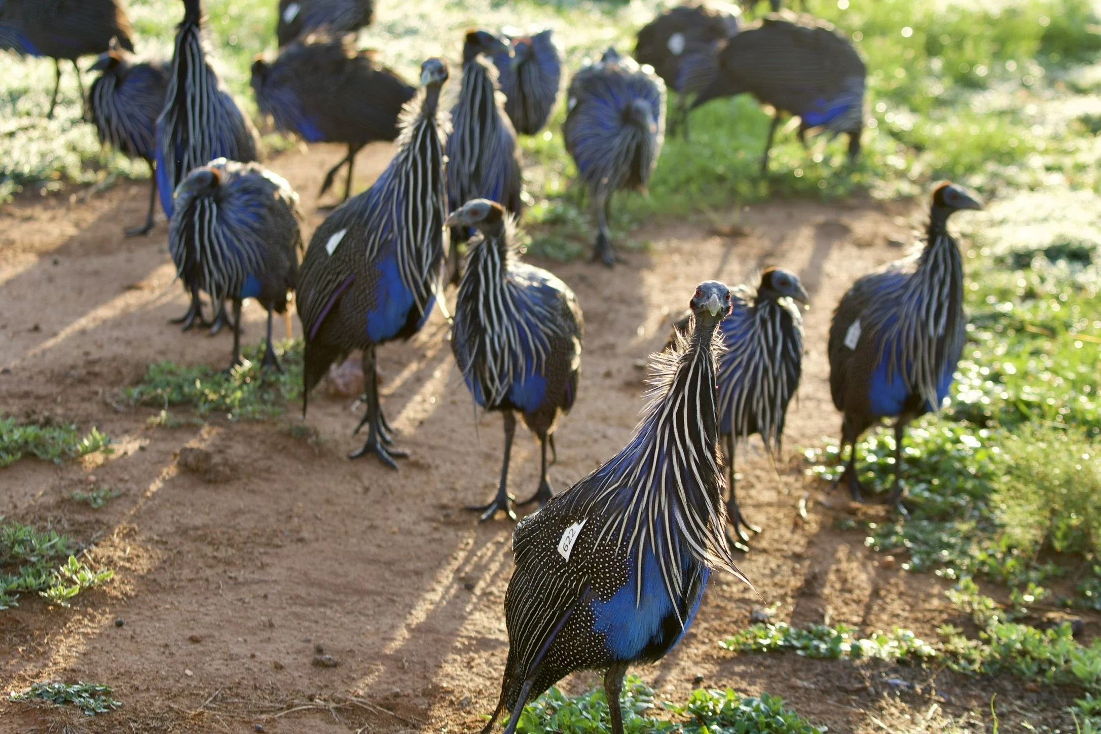 How do I interpret and understand my spiritual gifts assessment results?: Spiritual Gifts FAQs