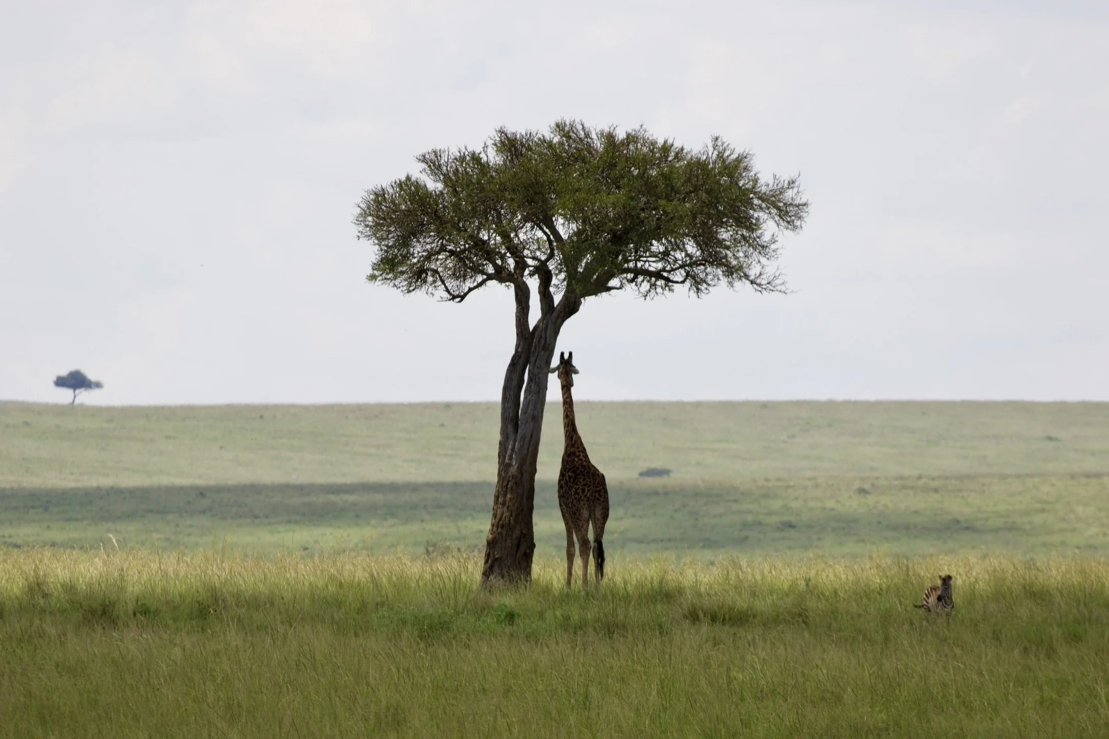 Spiritual Gifts PLUS Fruit of the Spirit PLUS Growth to Maturity in Christ