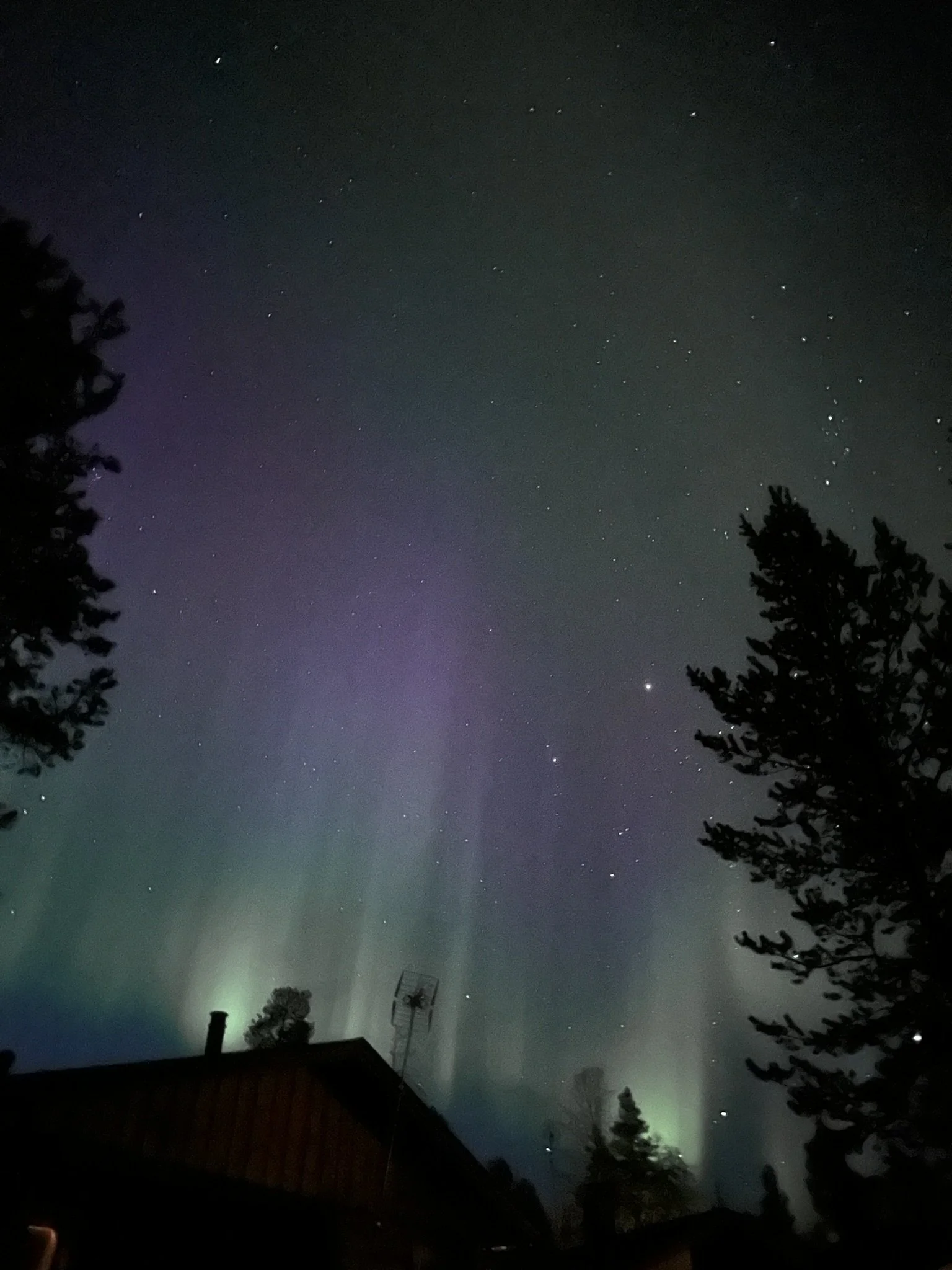 Why are People Joining Churches?