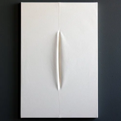 Cullen Valley , 2015. 36” x 24”, unbleached canvas, edition of 25