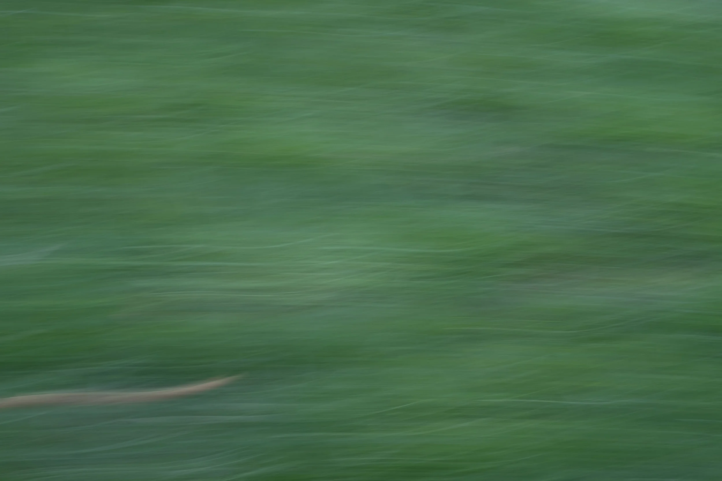 Green with feather.jpg