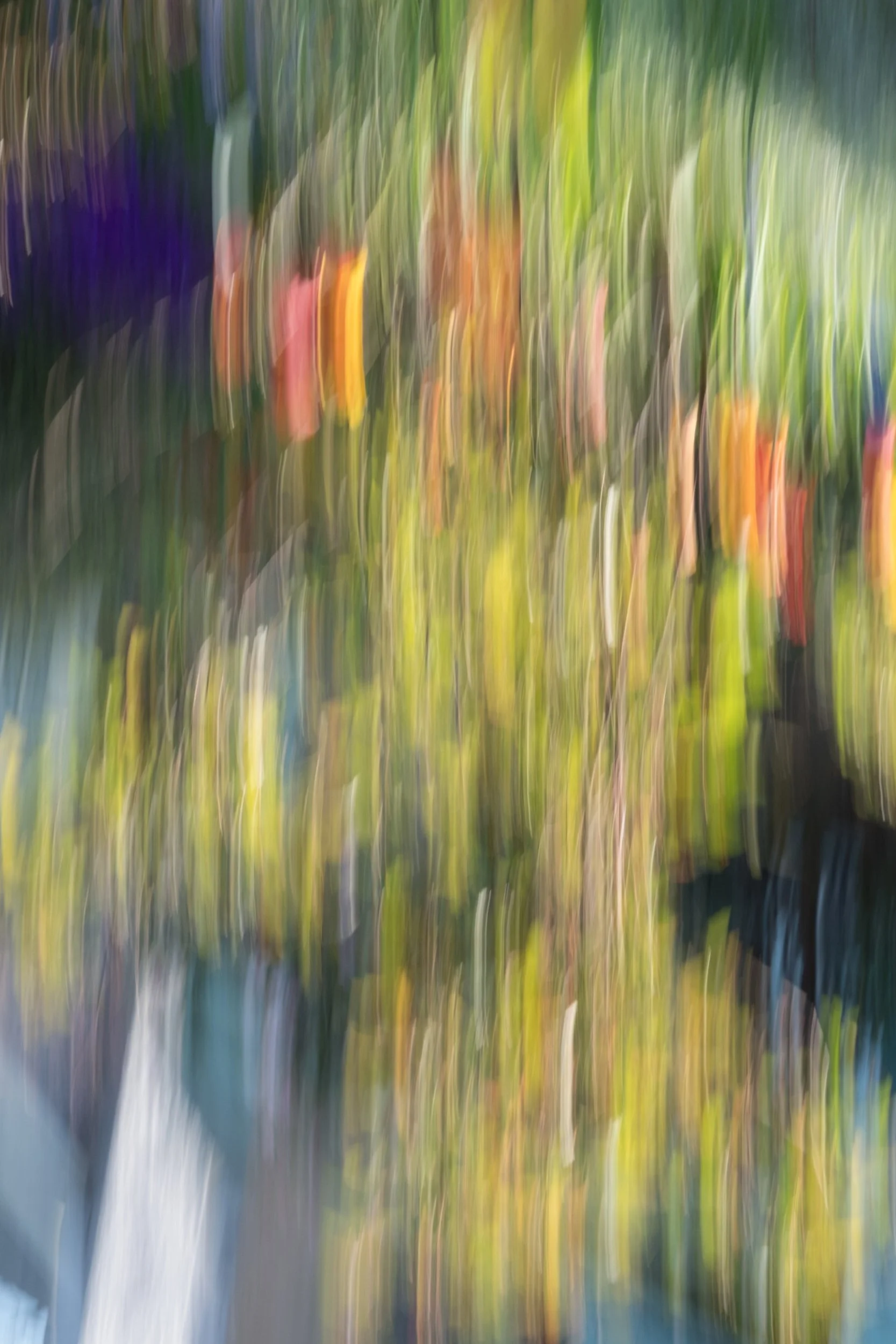 spring+flowers+3.jpg