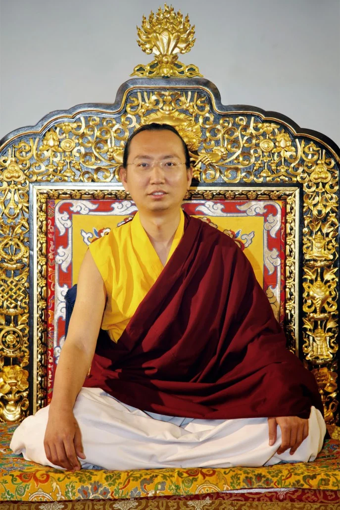 HE-Ratna-Vajra-Rinpoche-6by4-687x1030.jpg