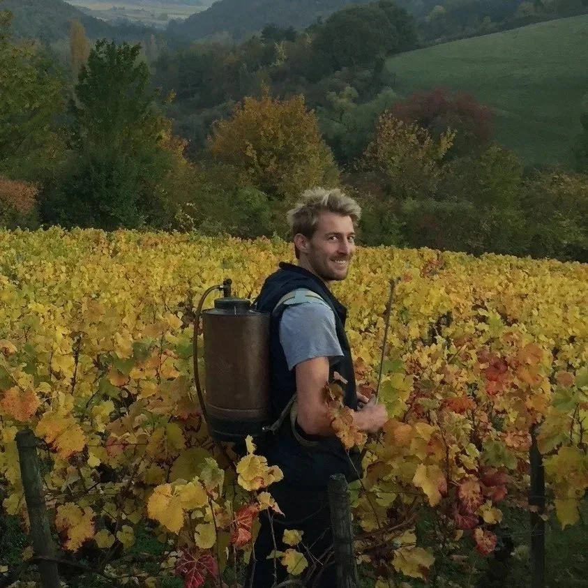 DOMAINE DANDELION
