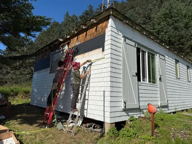 Final phase of shingling