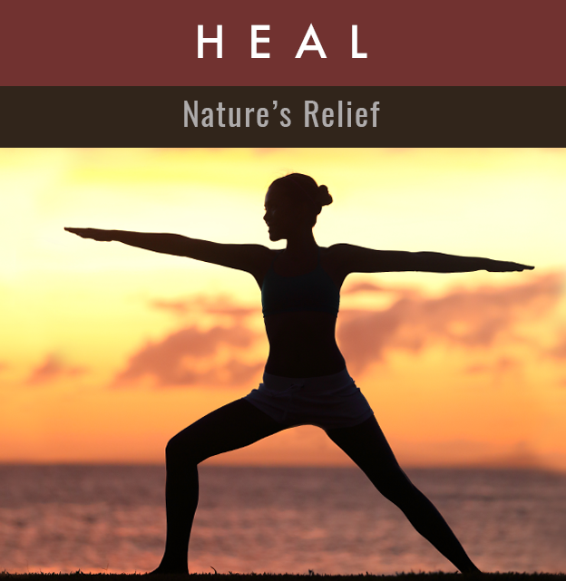 healfront.png