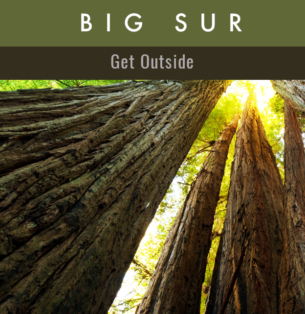 bigsurfront.png