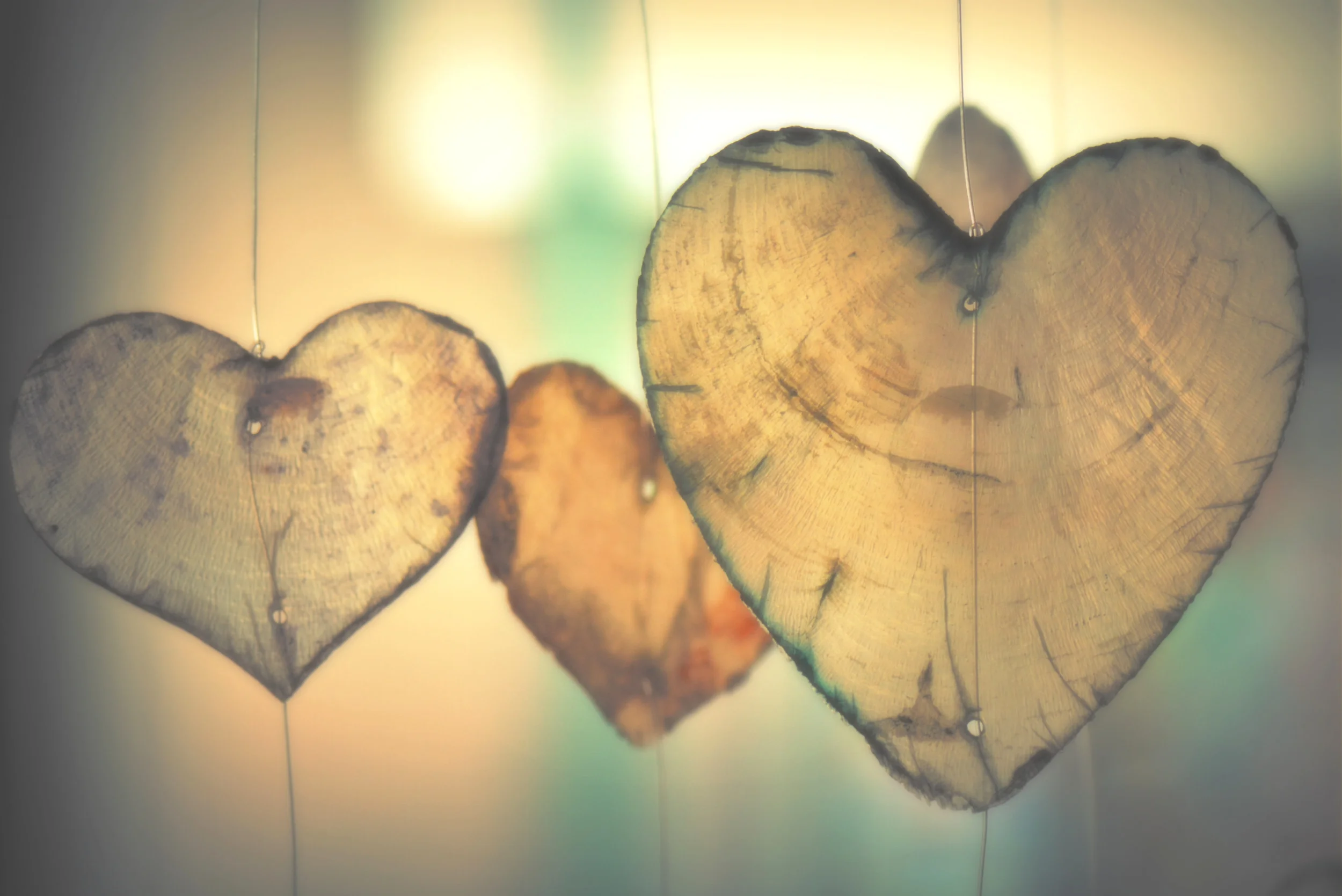 heart-love-romance-valentine.jpg