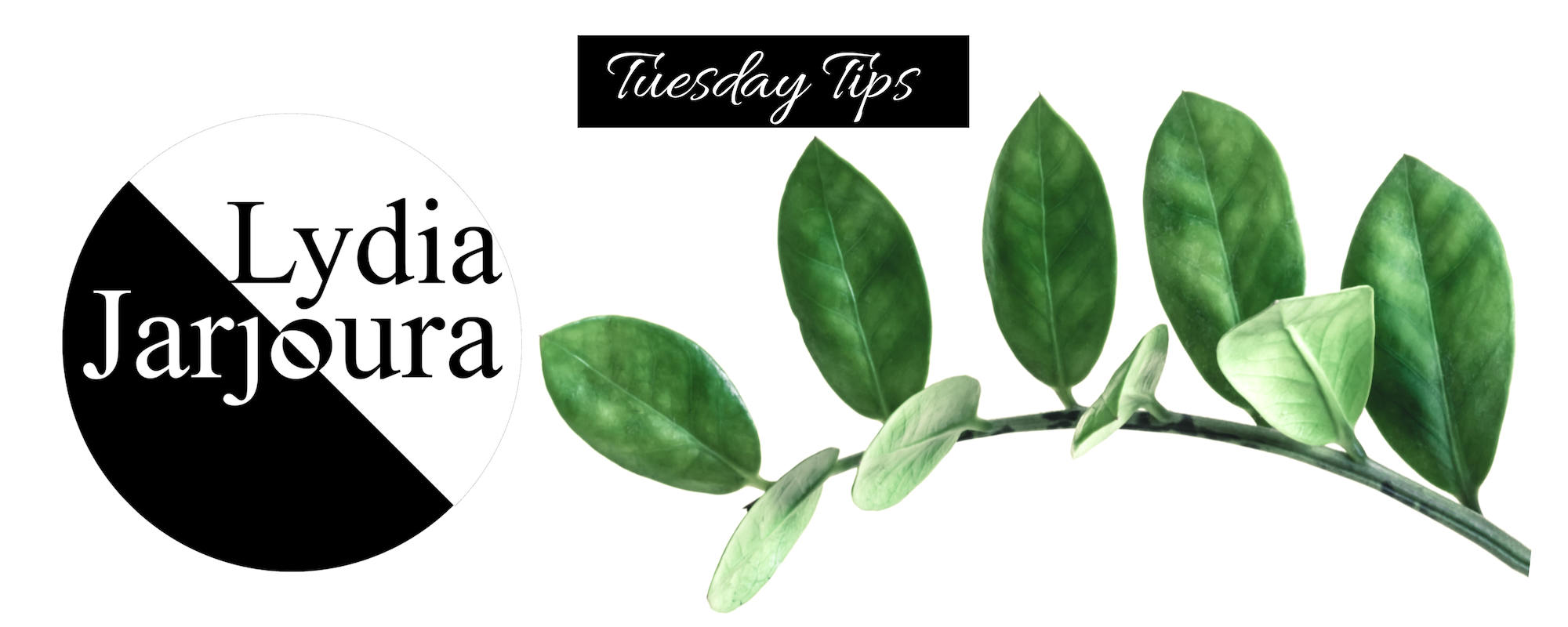 Tuesday Tips.png