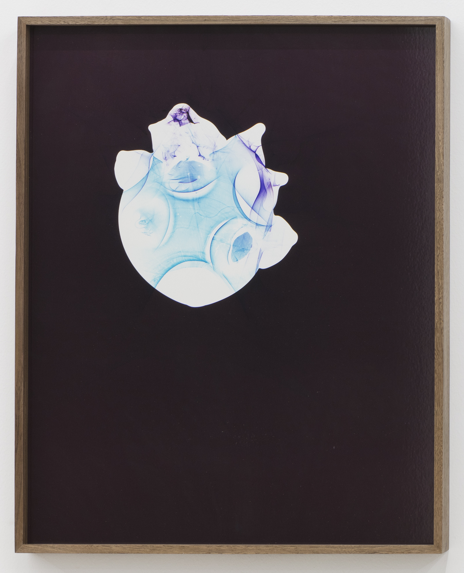 KELLY AKASHI Image of a Thing (Amber) (2017) chromogenic photogram in walnut artist’s frame 19.5x15.5”