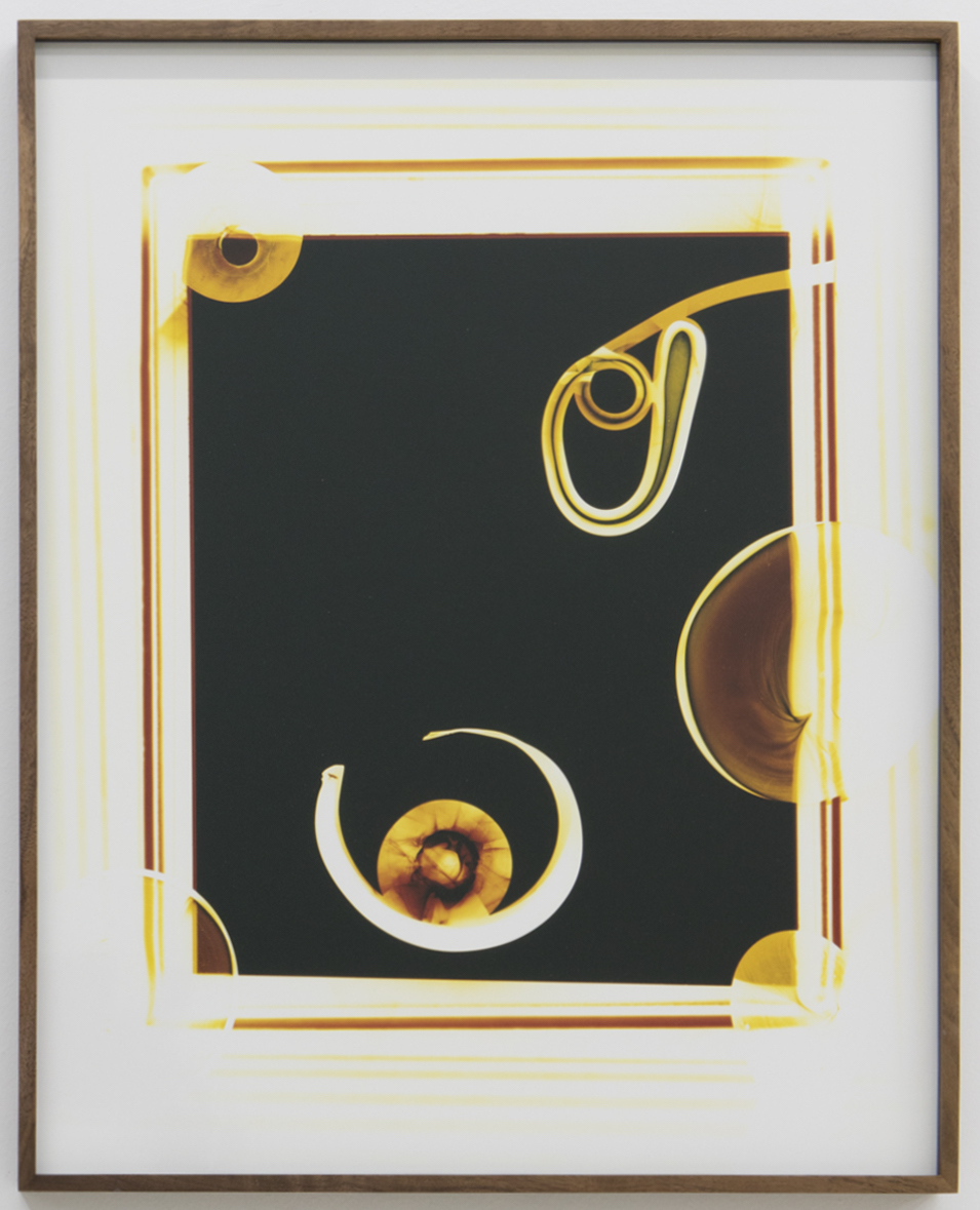 KELLY AKASHI Cobalt Blue(Extended Bellows) ( 2016) Chromogenic photogram in artist's walnut frame 20.5 x 16.5"