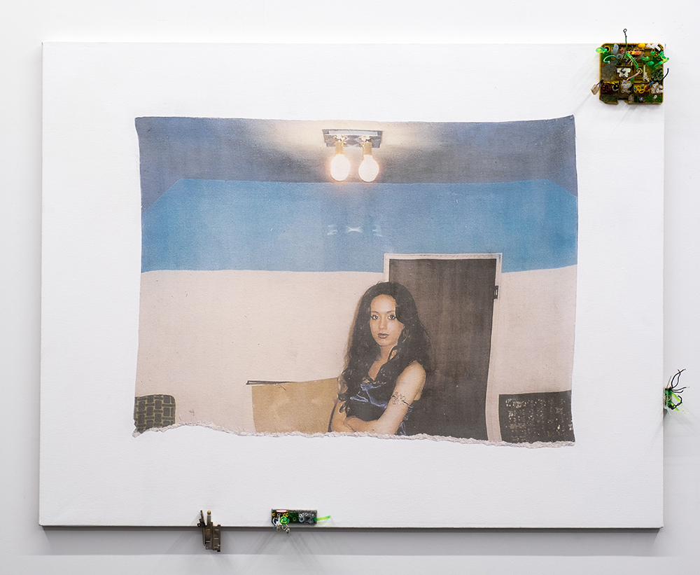 Lukas Müller Micromégas (Ioana III) , 2018 found/altered materials and synthetic silk inkjet print on canvas 42 x 52 in LM1009