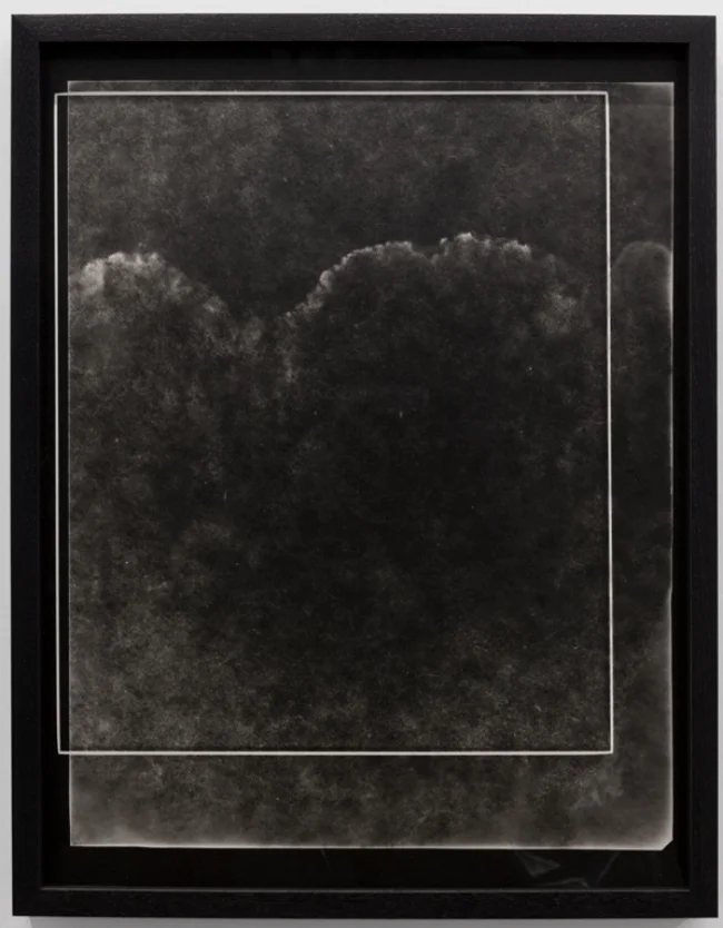 stain (I), 2018 photogram in walnut frame 16 x 12 in unique KO1008