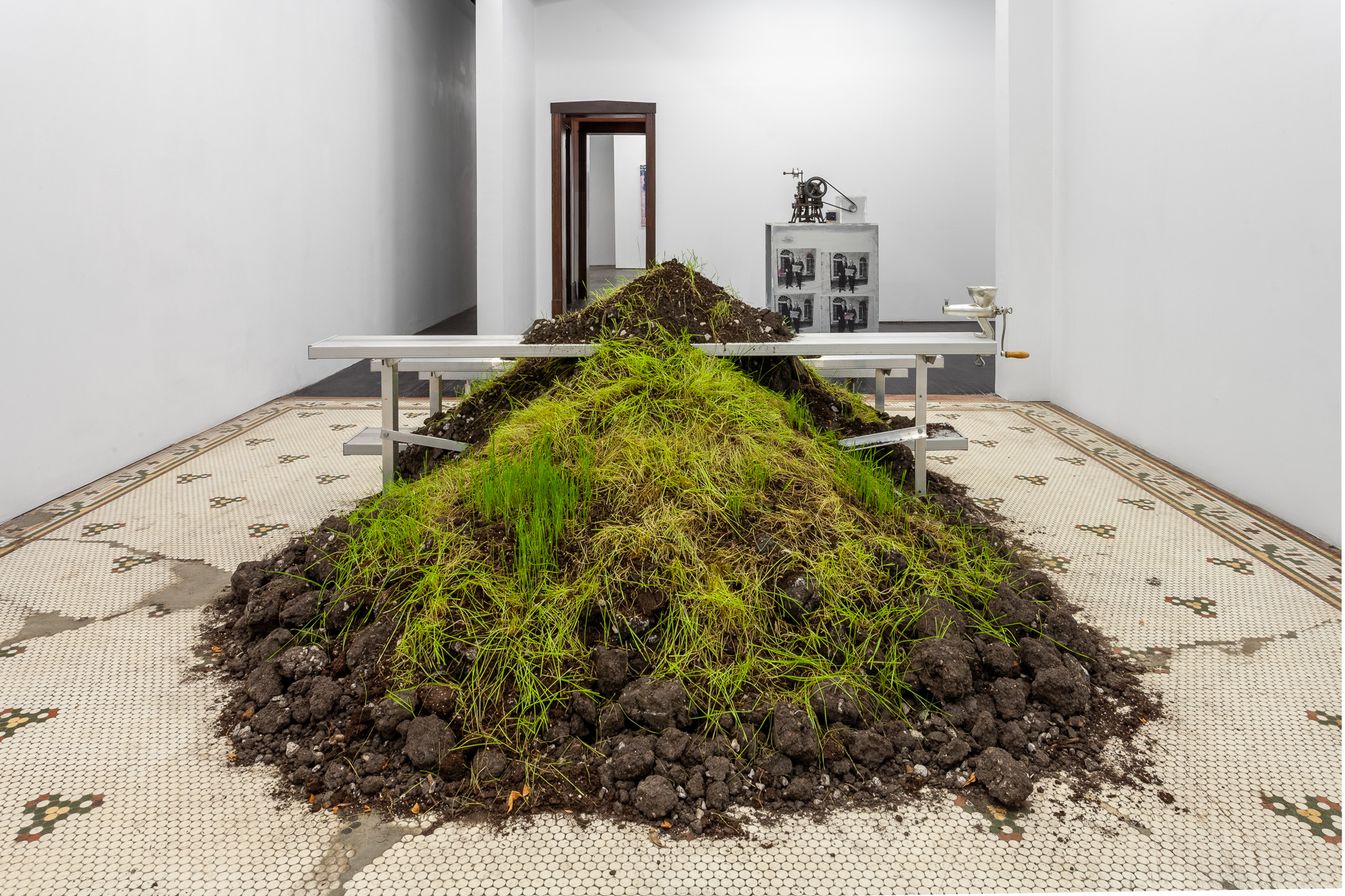   People , 2019 aluminum bleachers, soil, wheatgrass, juice press 84 x 116 x 52 in (213.36 x 294.64 x 132.08 cm) #JPW1023 