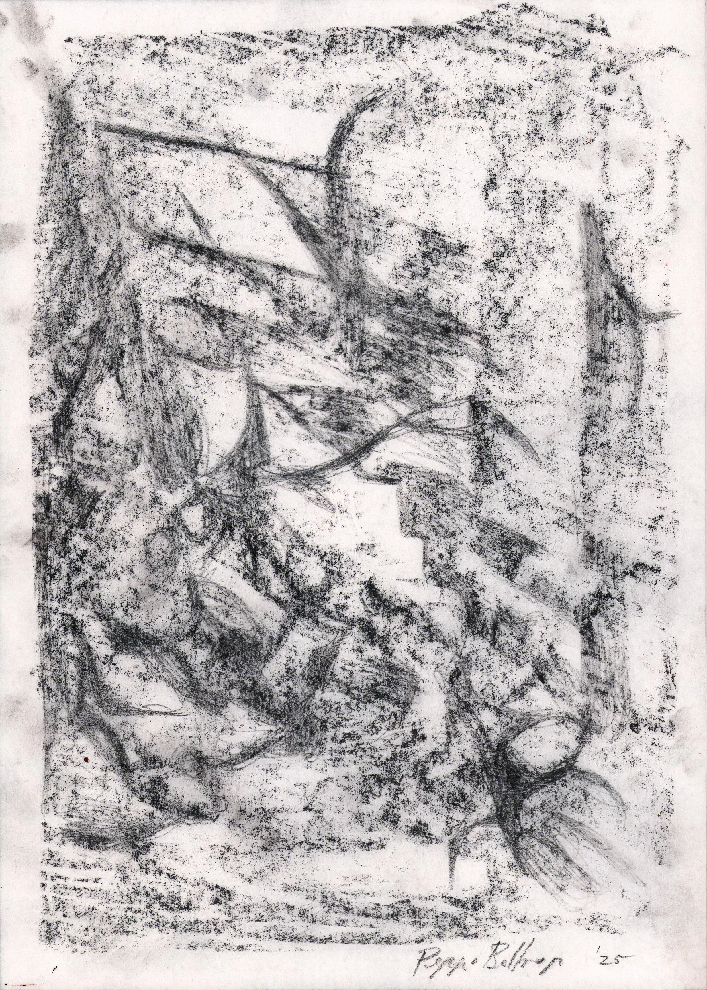  Peppi Bottrop  Untitled , 2025 Charcoal on paper 11 ½ x 8 ¼ in. (29.2 x 21 cm) 
