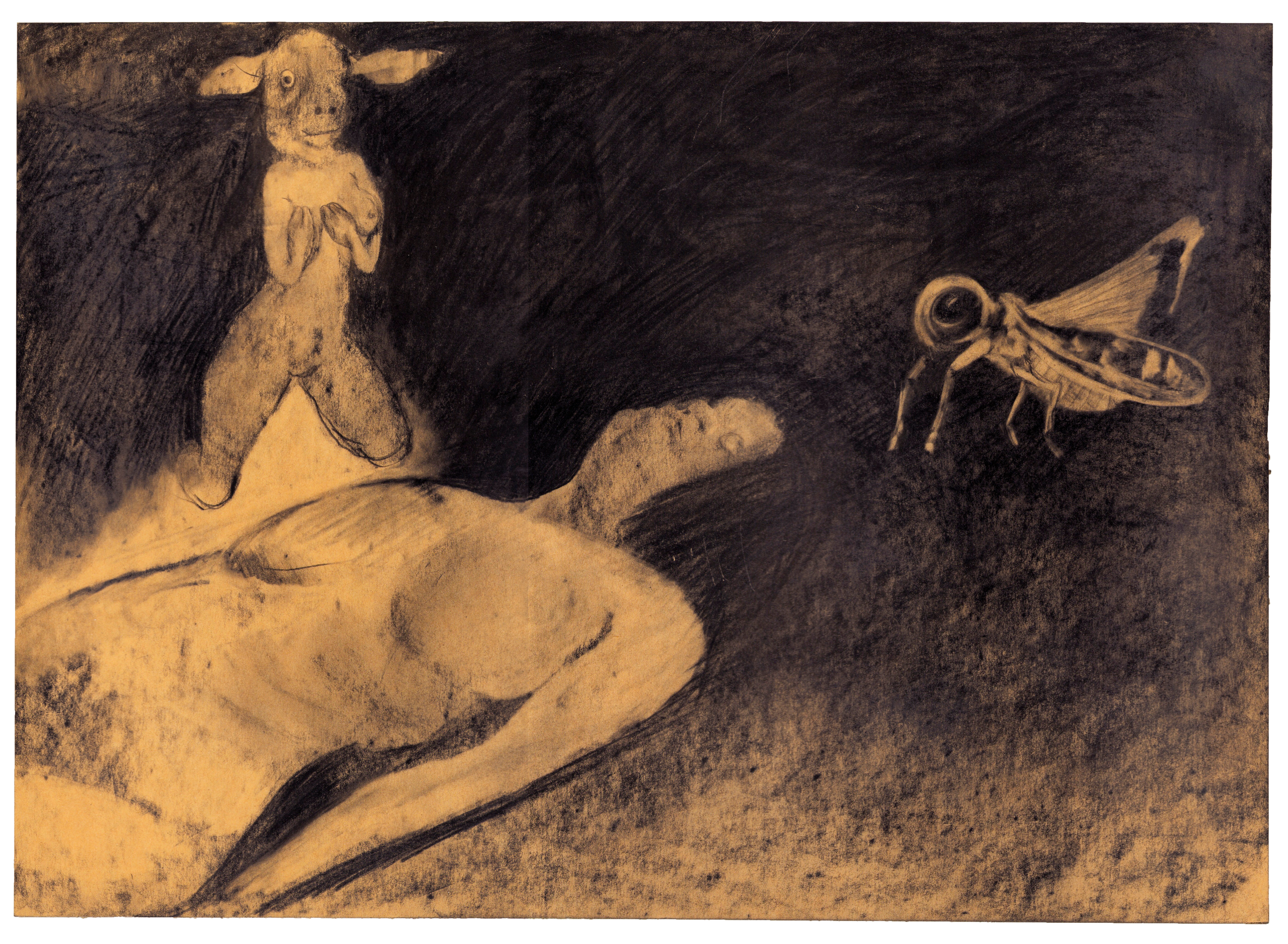   Baste , 2025 graphite on paper 13 x 18 in. (33 × 46 cm) KS0021 