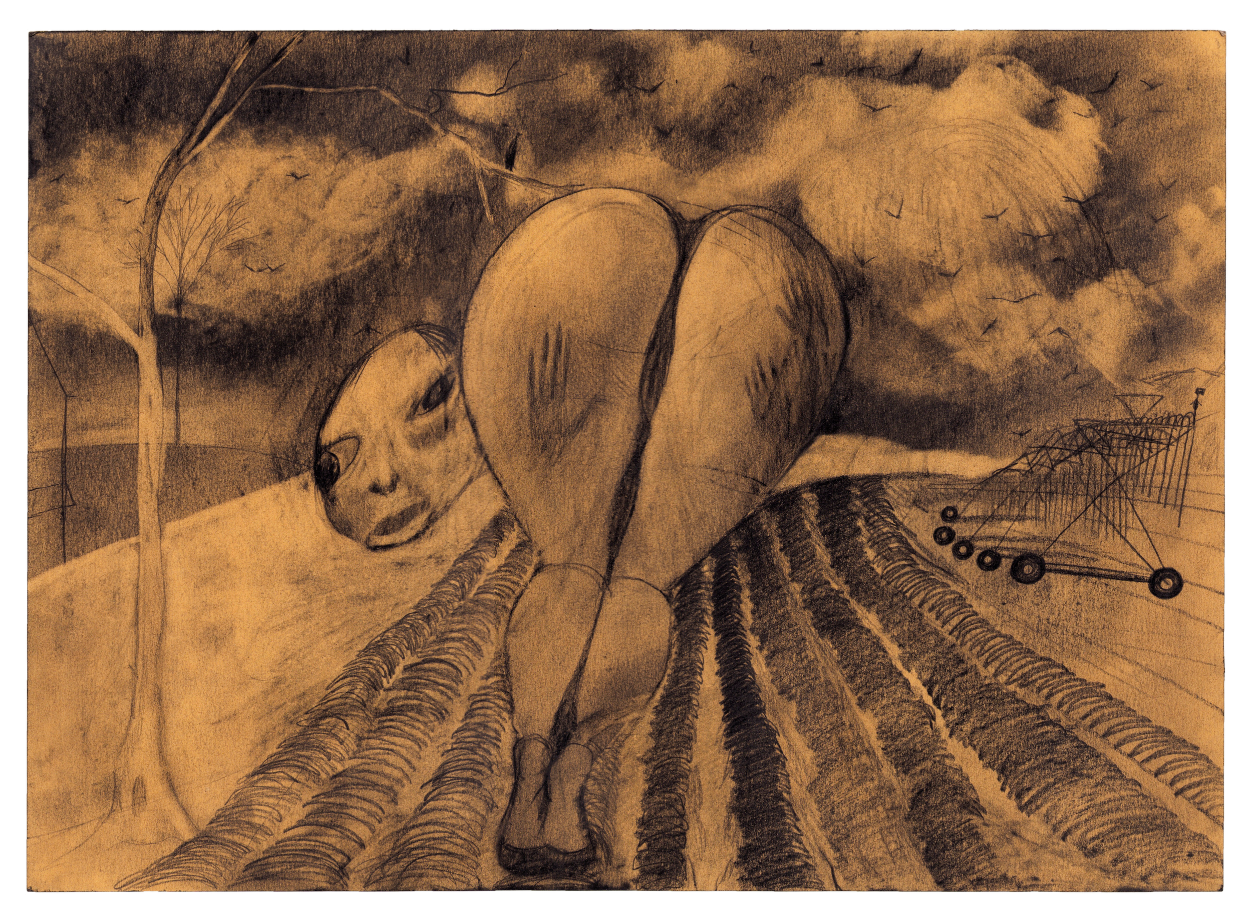   Munch , 2025 graphite on paper 13 x 18 in. (33 × 46 cm) KS0010 