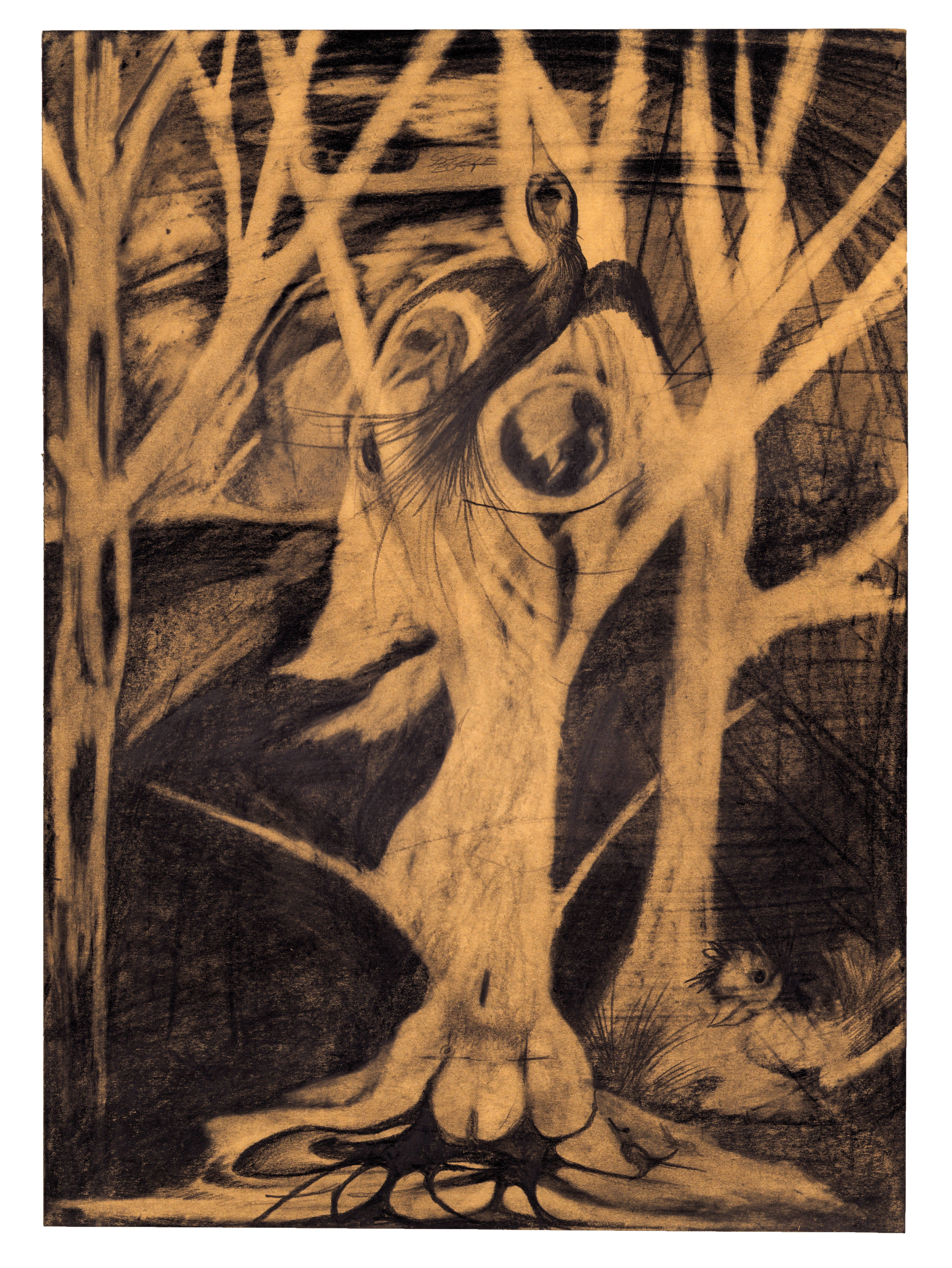   Possibility Of Happiness , 2025 graphite on paper 18 x 13 in. (46 x 33 cm) KS0007 