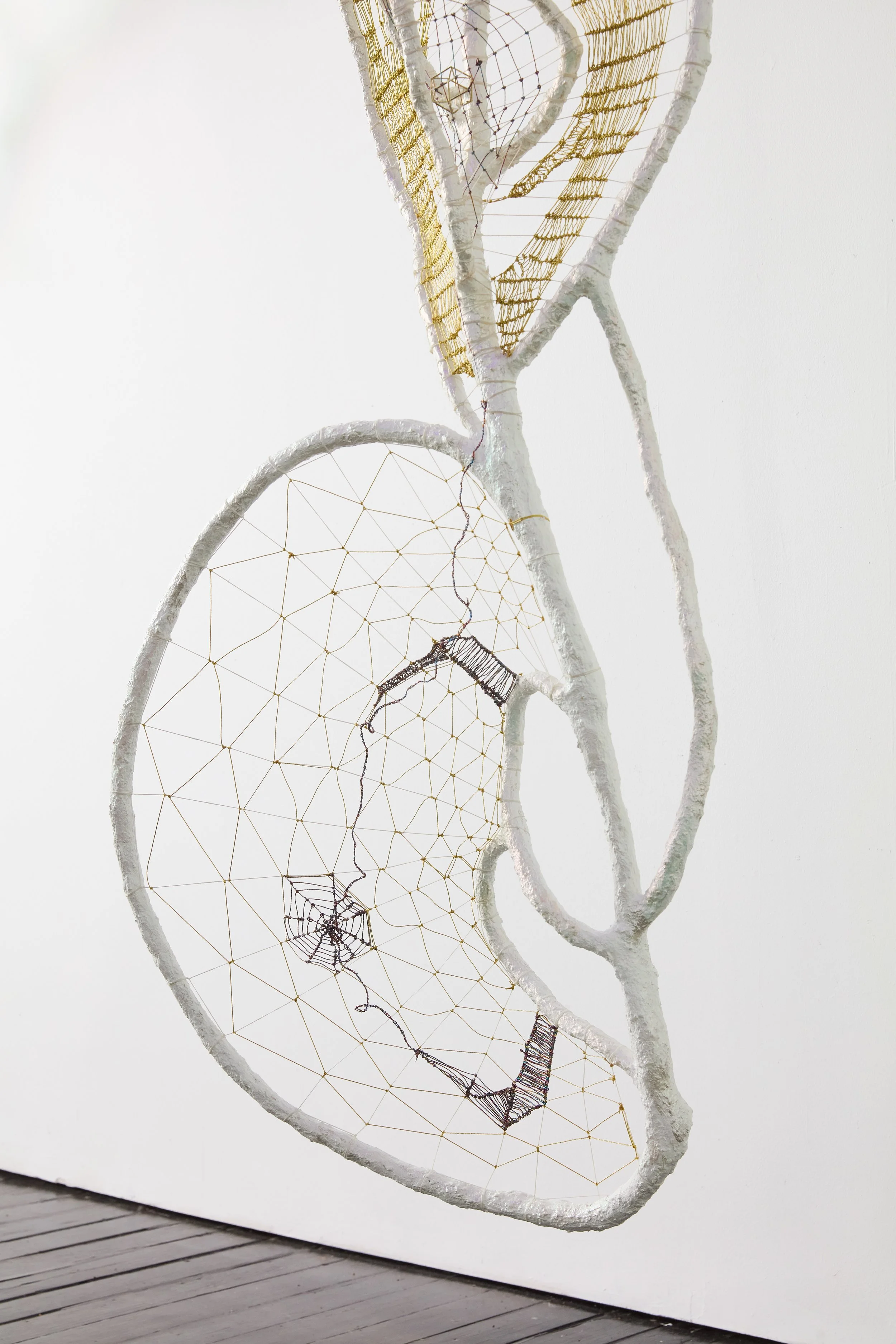   Iris Wand , 2025 (detail) 