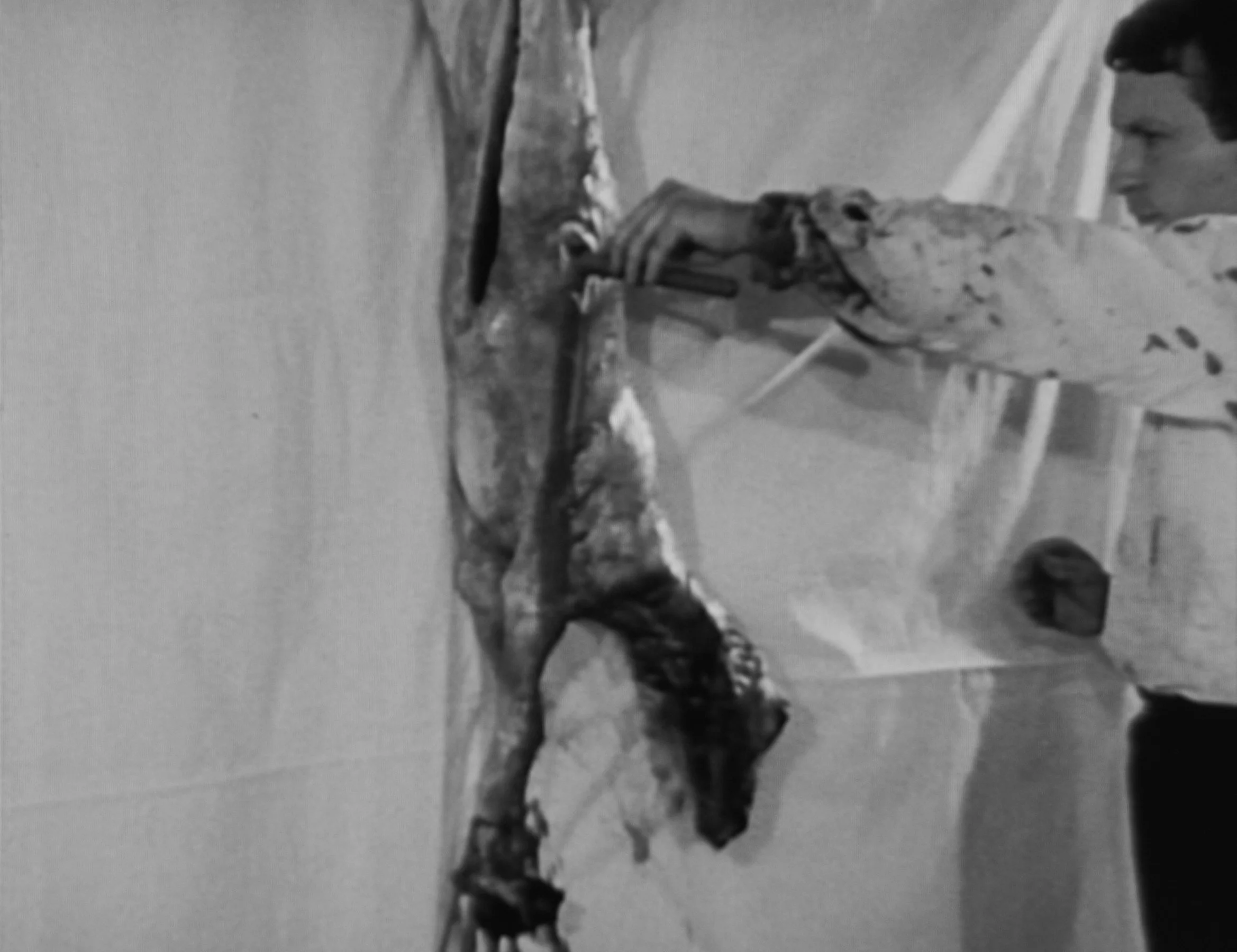  Hermann Nitsch,  24. Aktion , Wien (1967), 16mm film, 27:54 (still), courtesy of Nitsch Foundation, Wien   