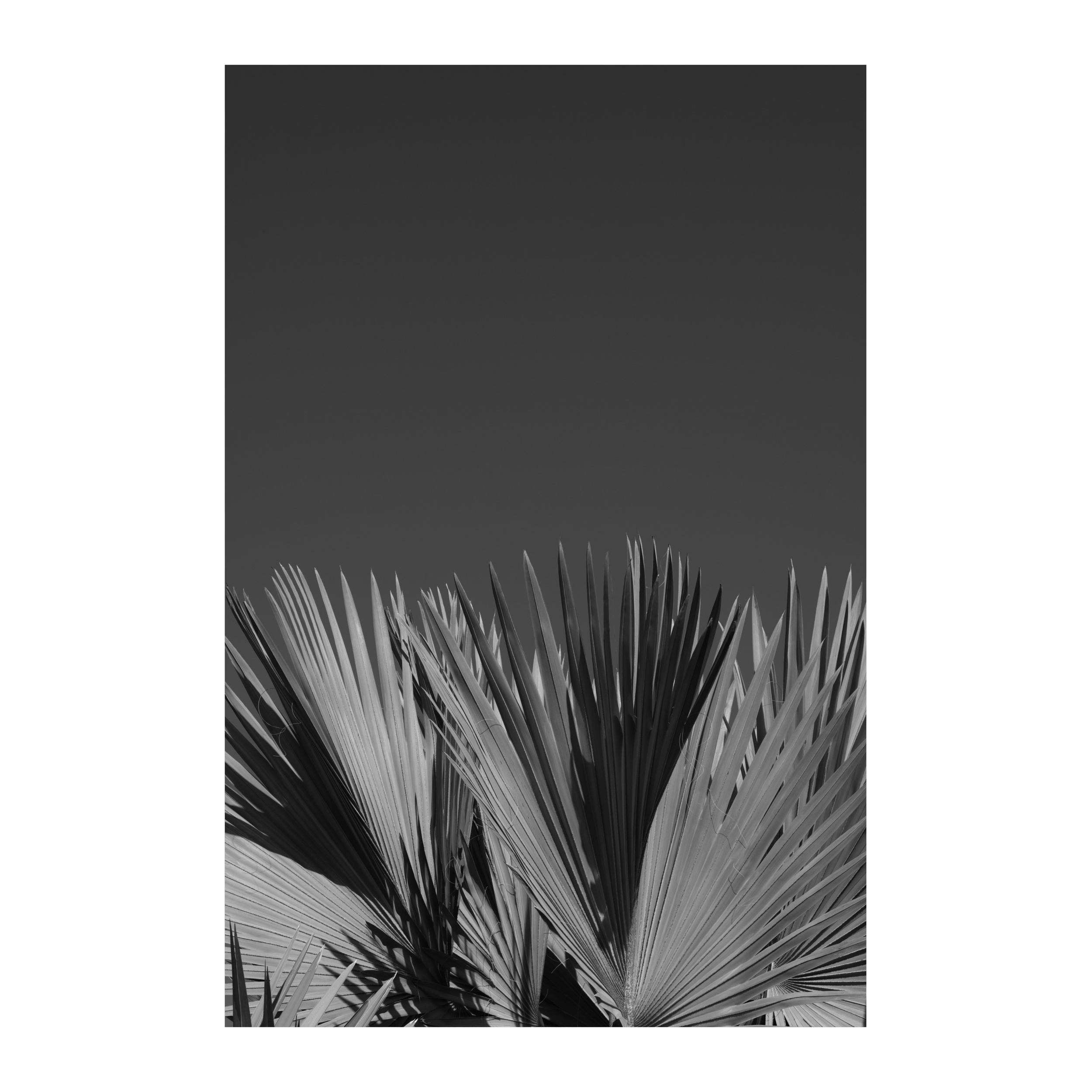 Simple Nothings ver.III 2.PNG