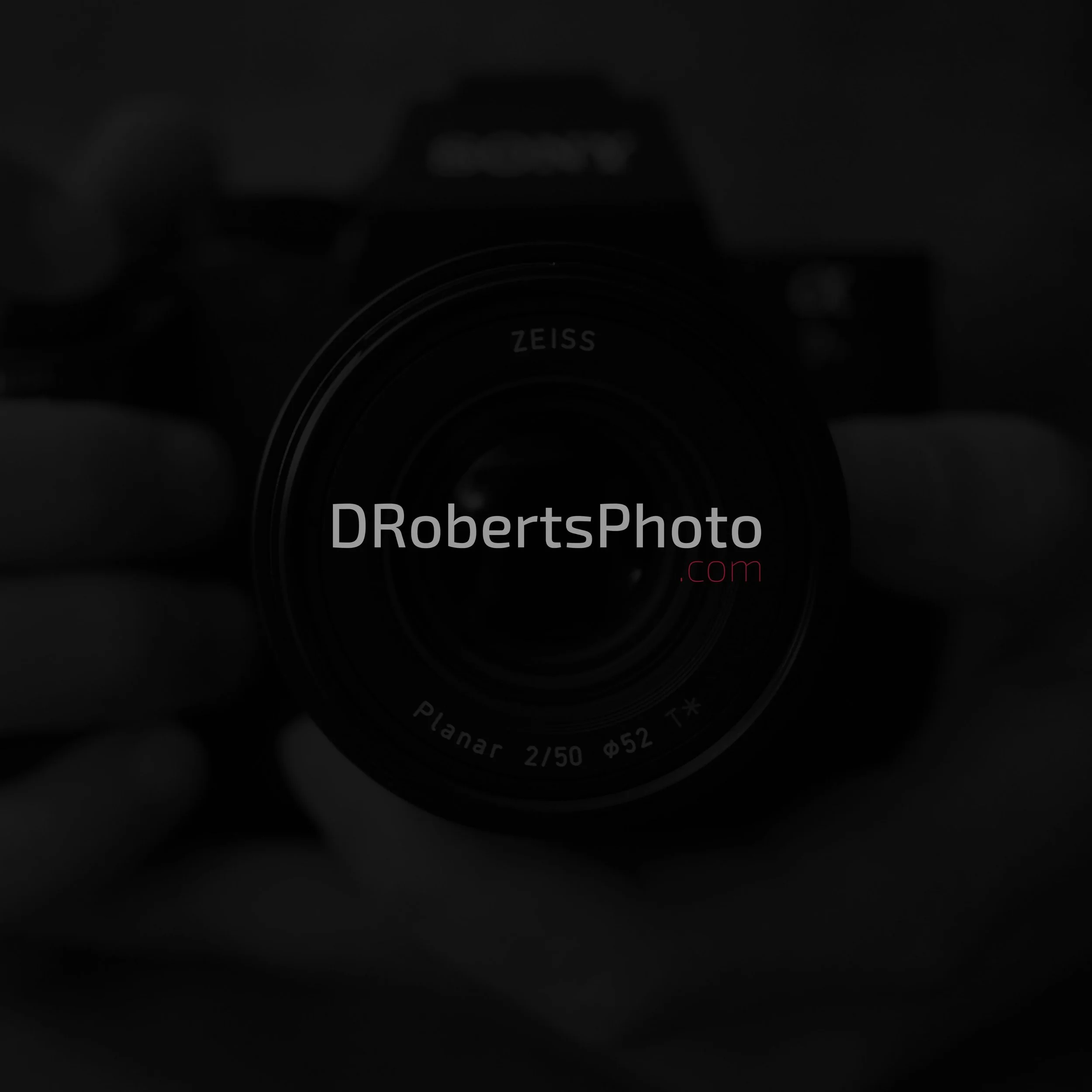 Blog Thumbs (2).jpg