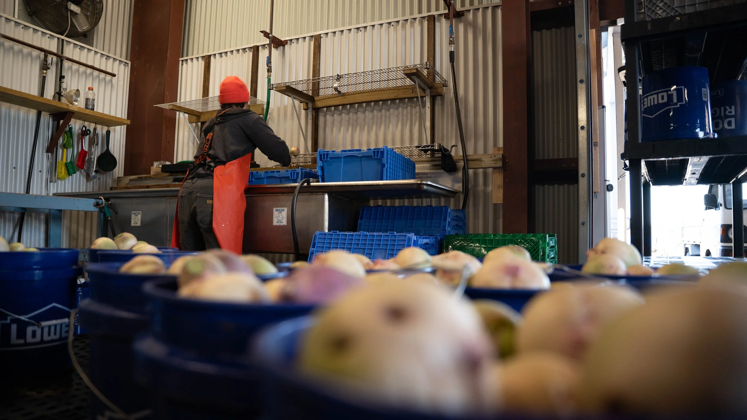 Copy of River Queen-1-85.jpg