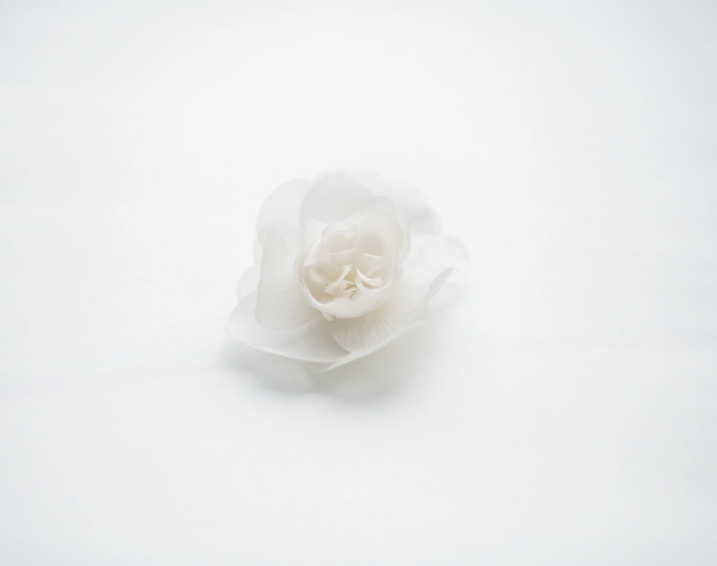 mindybriarphotography-41.jpg