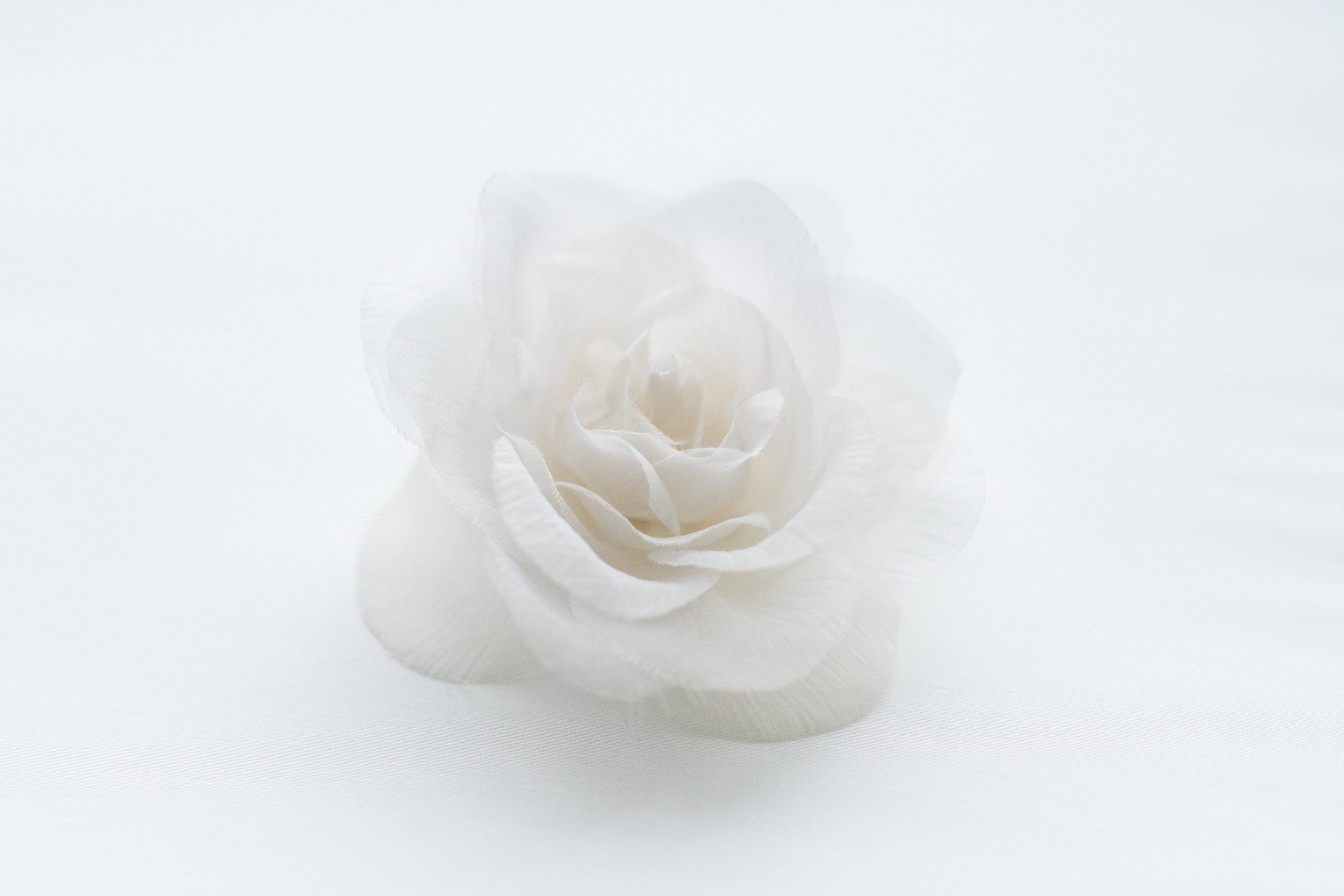 mindybriarphotography-46.jpg