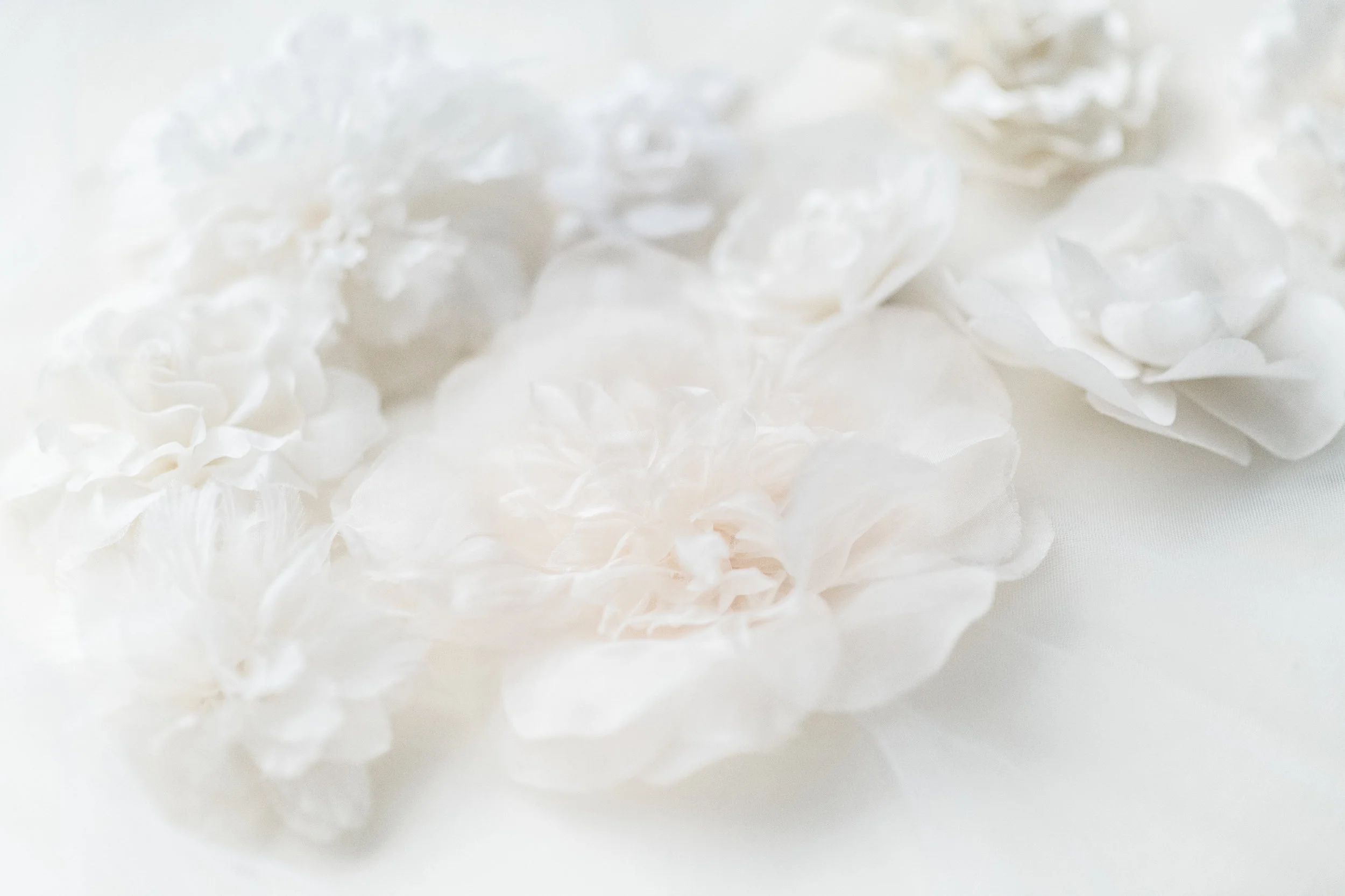 mindybriarphotography-67.jpg