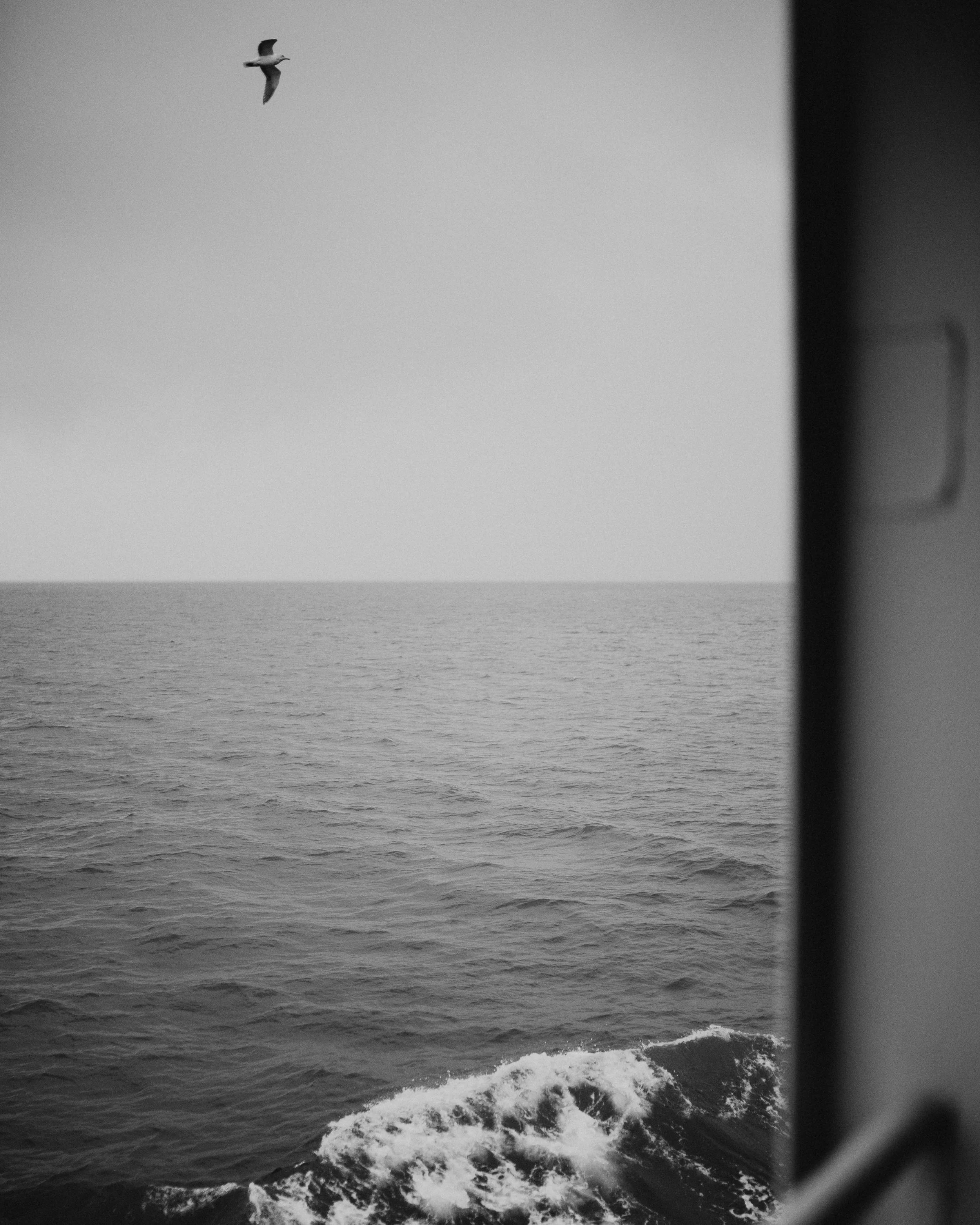 Portfolio Pic-341.jpg