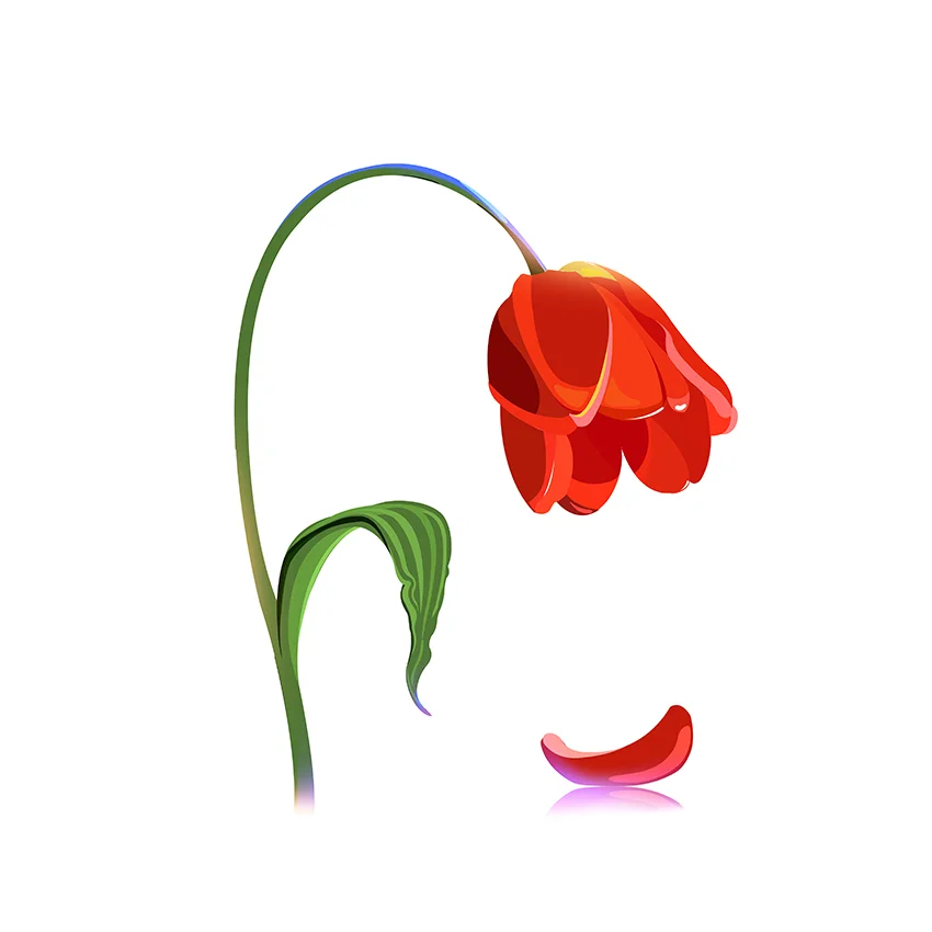 End of Spring