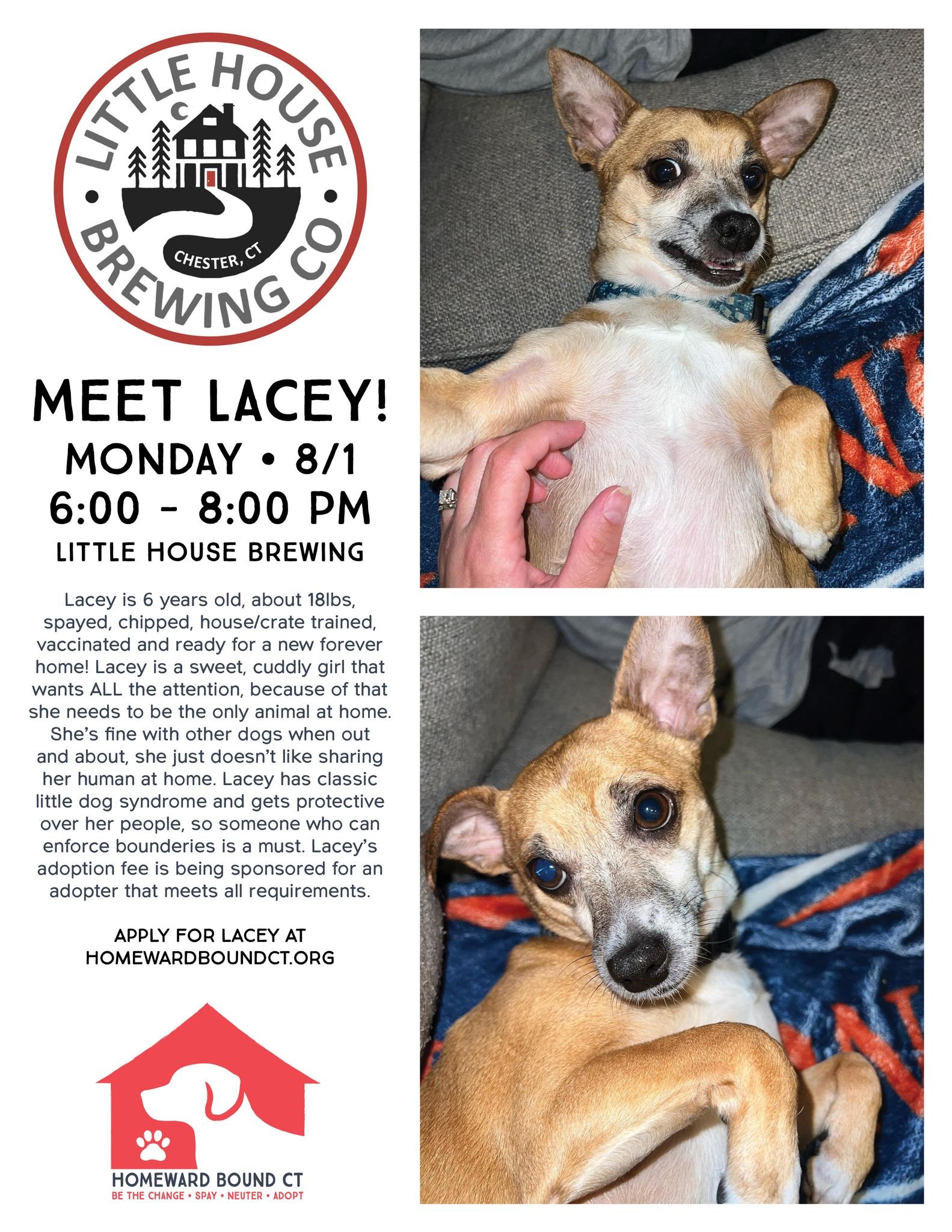 Meet the Pup - Adoption Event Hosted by Homeward Bound CT