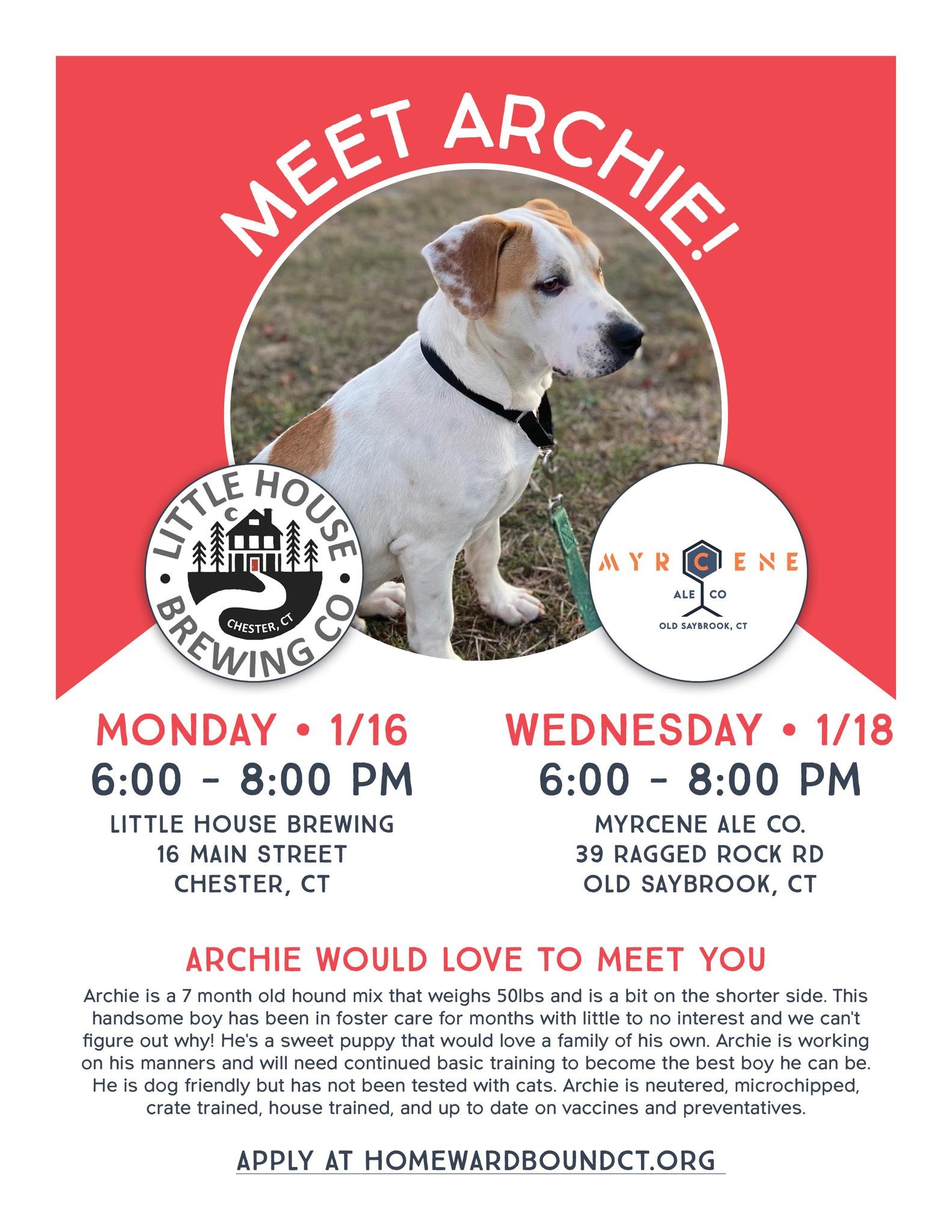 Meet Archie! - A Meet & Greet Adoption Event Hosted by Homeward Bound CT